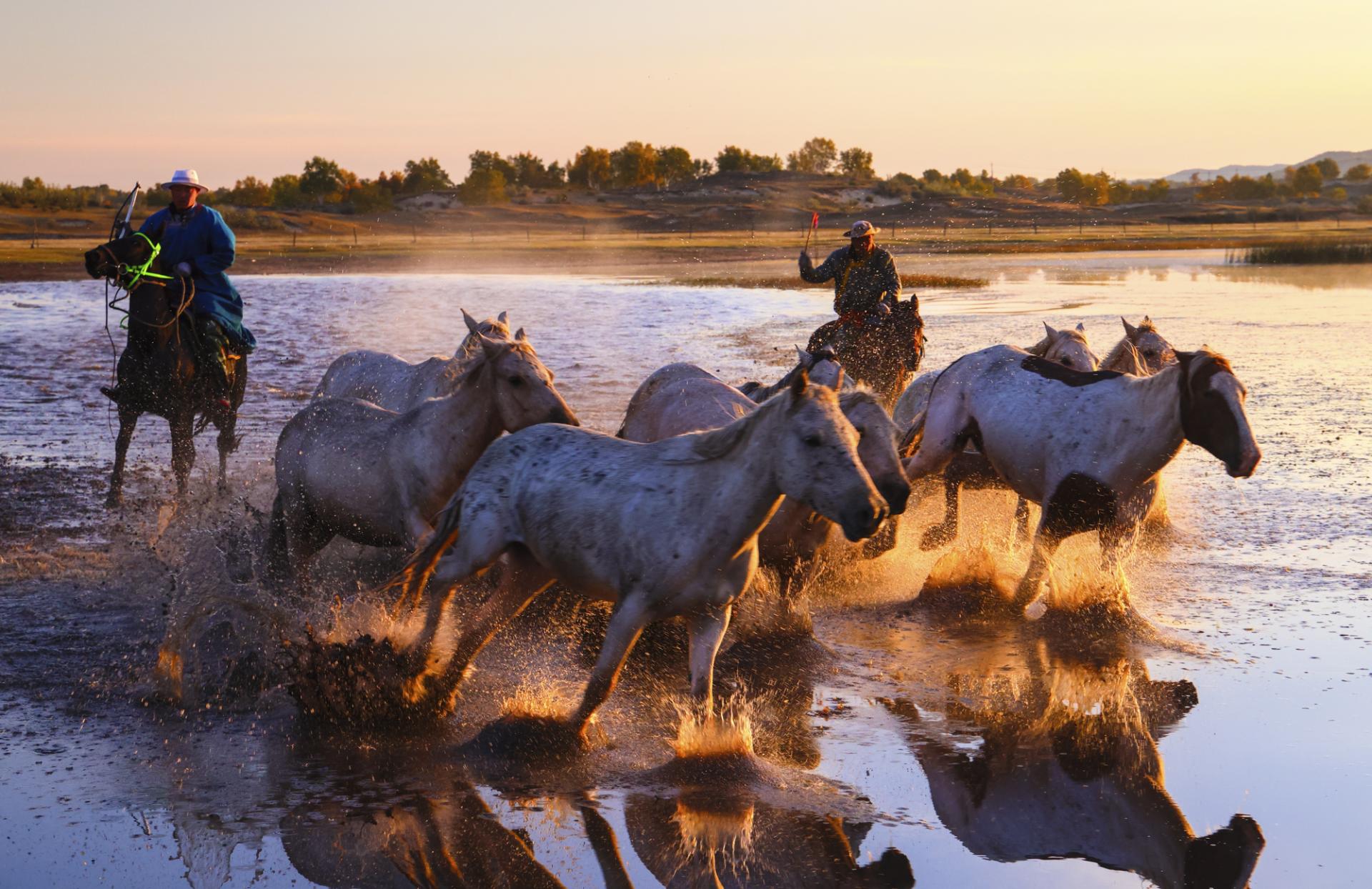 New York Photography Awards Winner - Horse riding on water