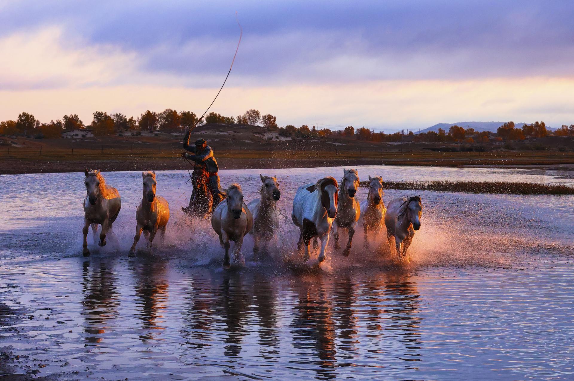 New York Photography Awards Winner - Horse riding on water