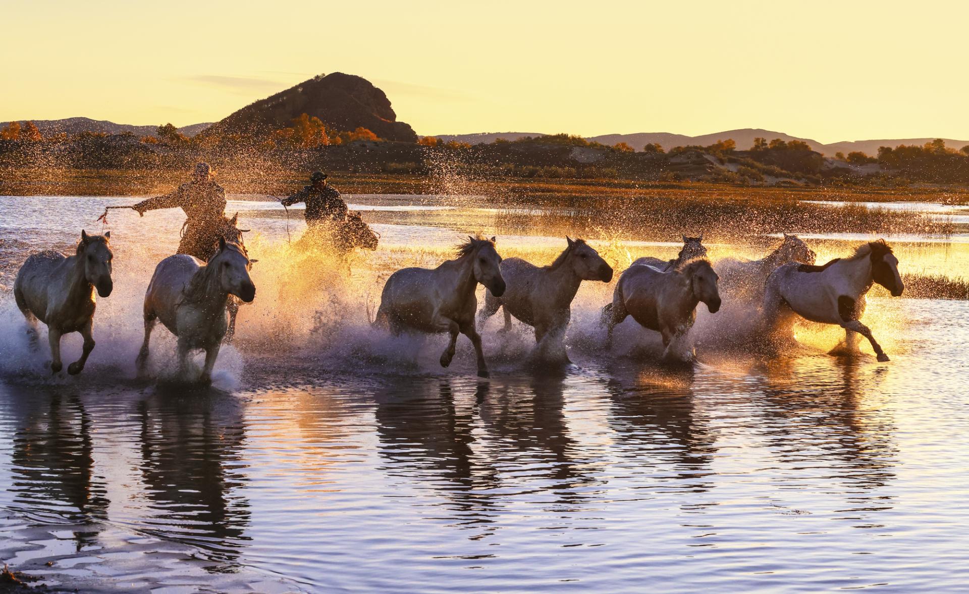 New York Photography Awards Winner - Horse riding on water