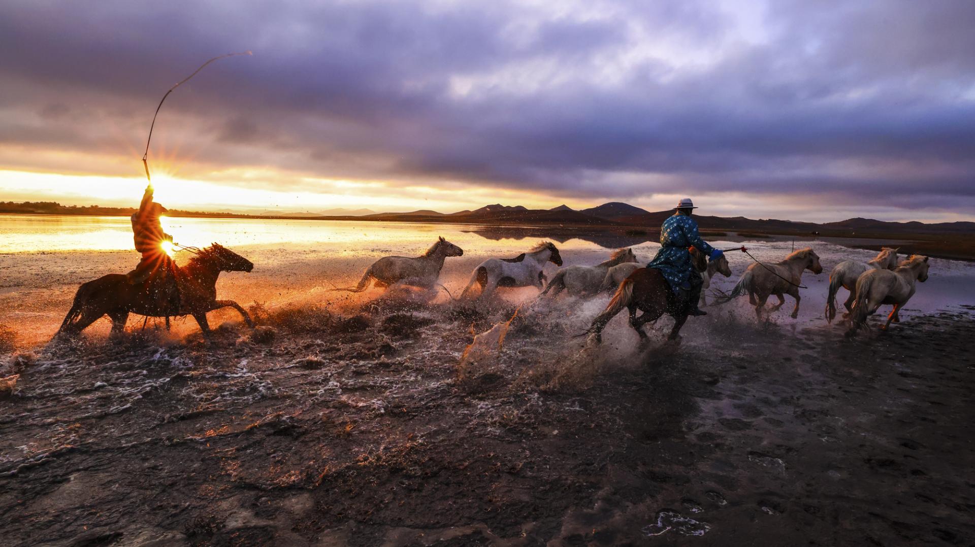 New York Photography Awards Winner - Horse riding on water