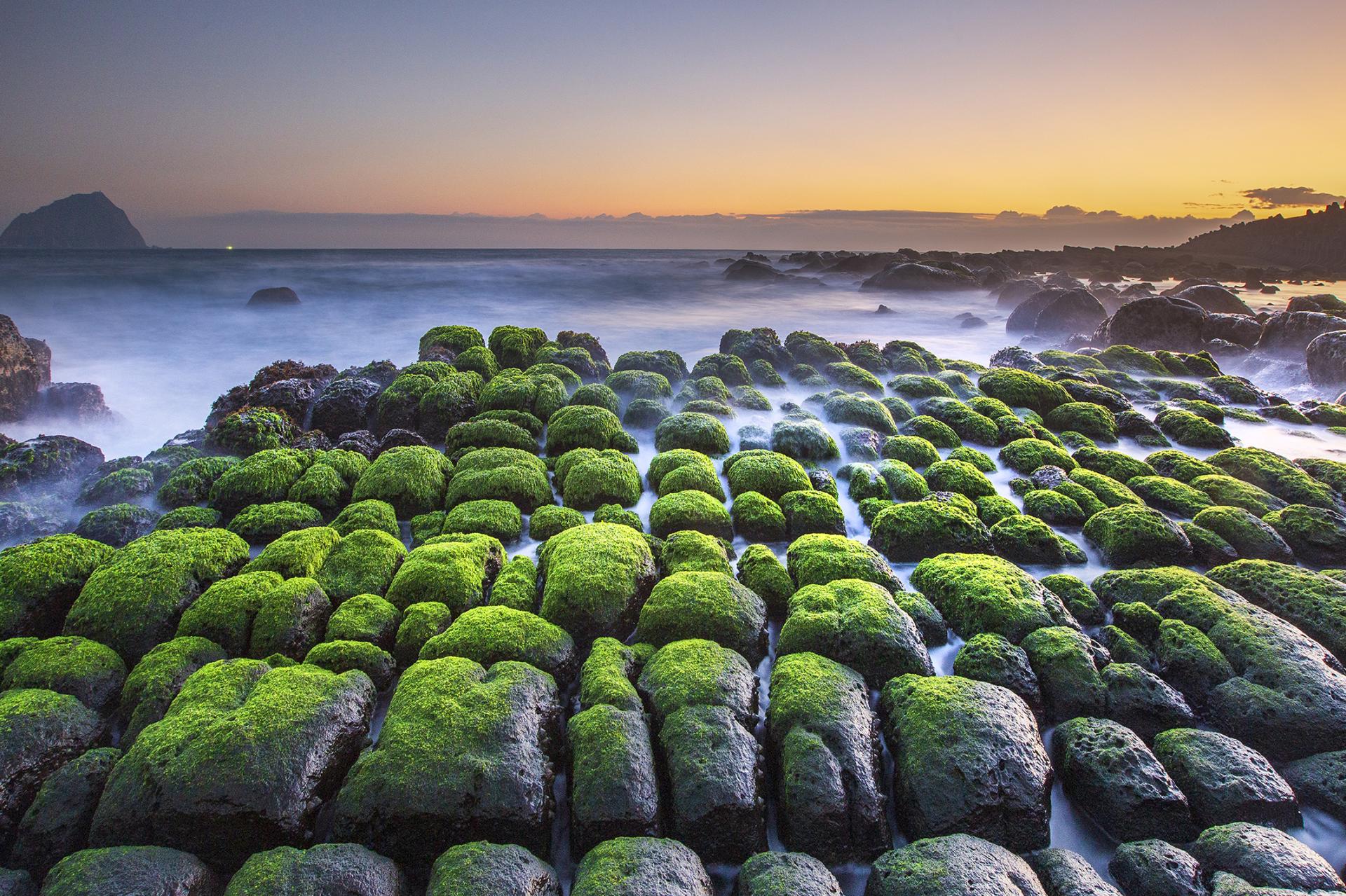 New York Photography Awards Winner - Coast morning light green scene