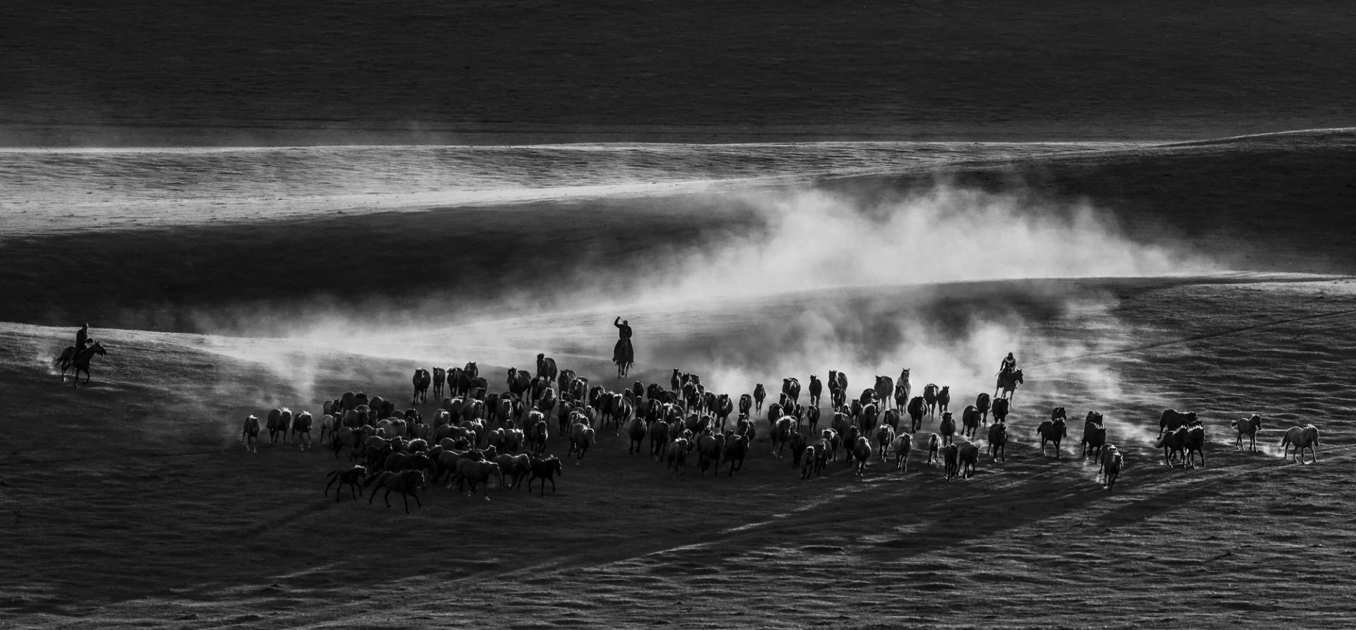 New York Photography Awards Winner - Hundreds of horses galloping 