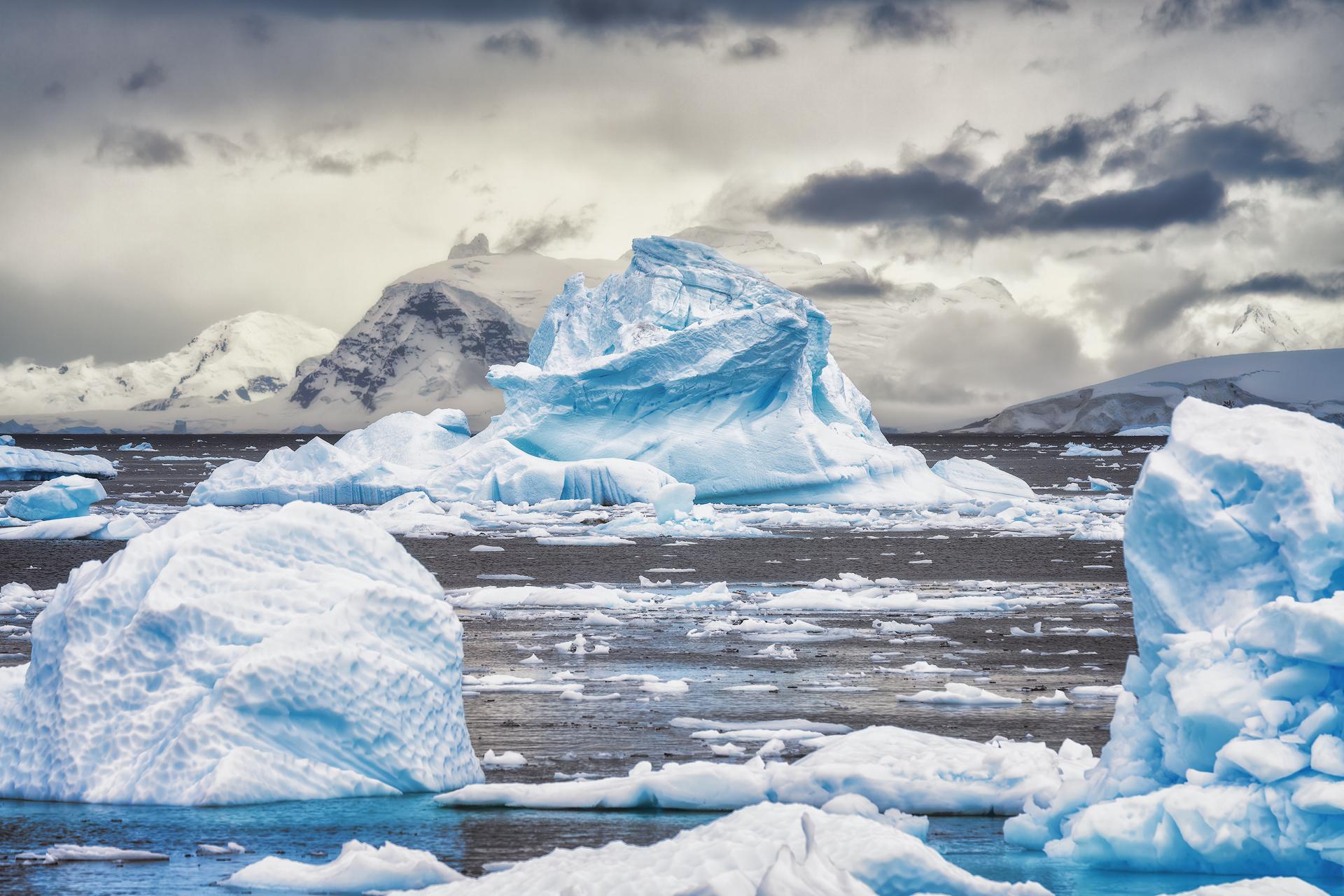 New York Photography Awards Winner - The navigator