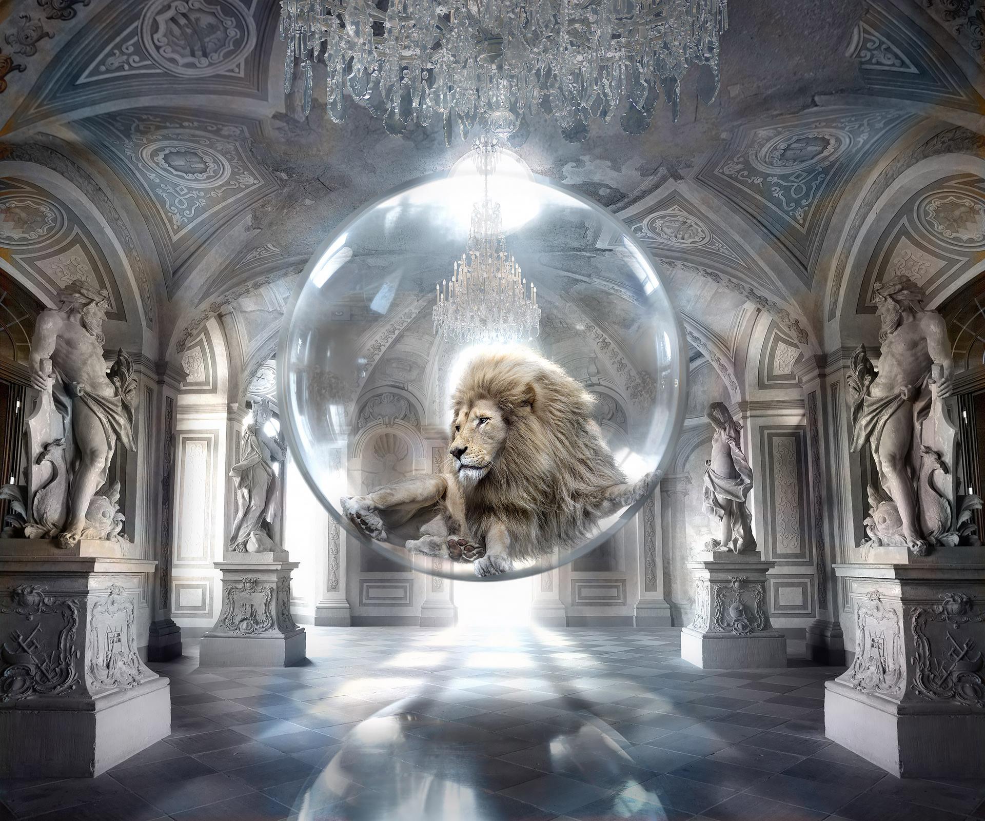 New York Photography Awards Winner - Royal Bubble