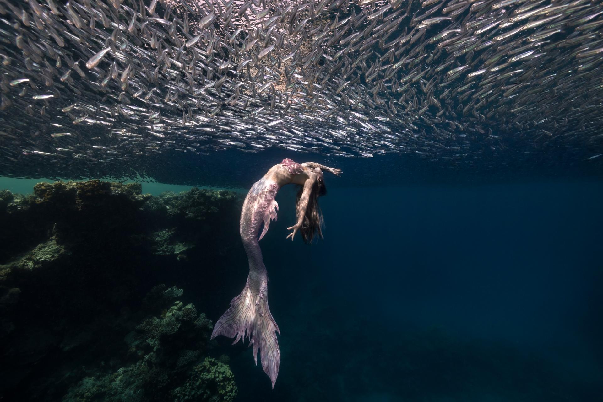 New York Photography Awards Winner - The Mermaid