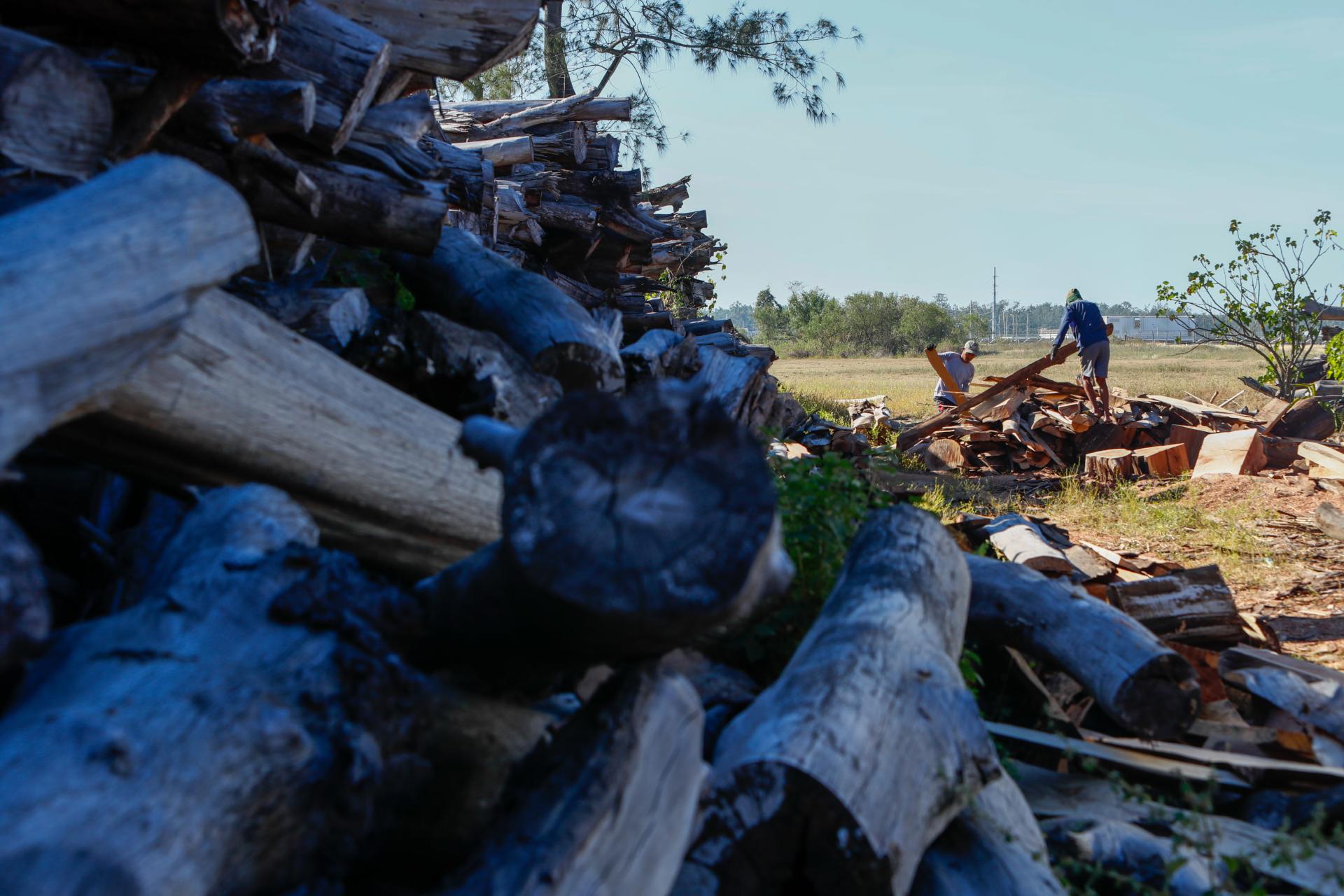 New York Photography Awards Winner - Dying Timberland in Pearl of Orient Seas