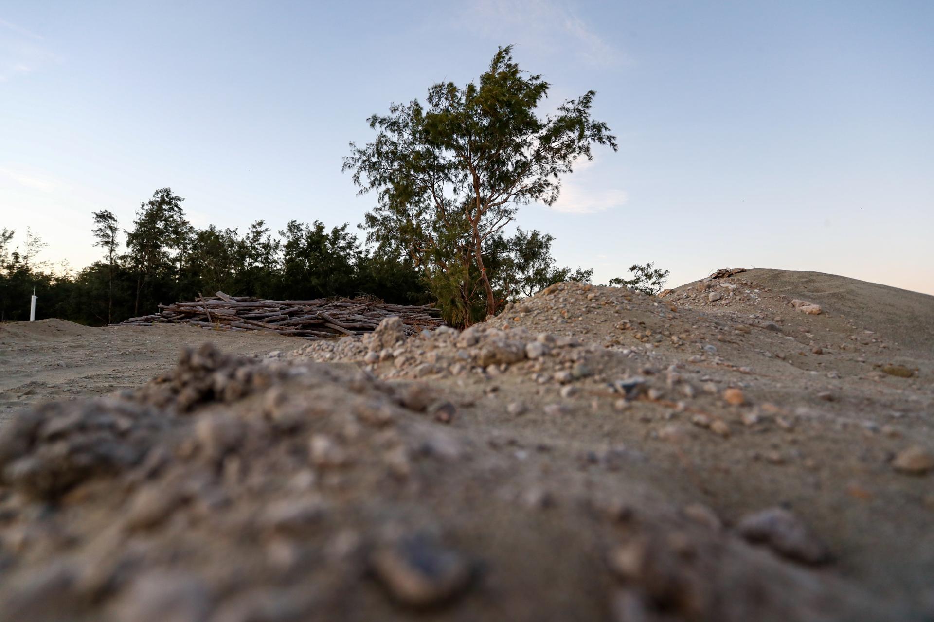 New York Photography Awards Winner - Dying Timberland in Pearl of Orient Seas