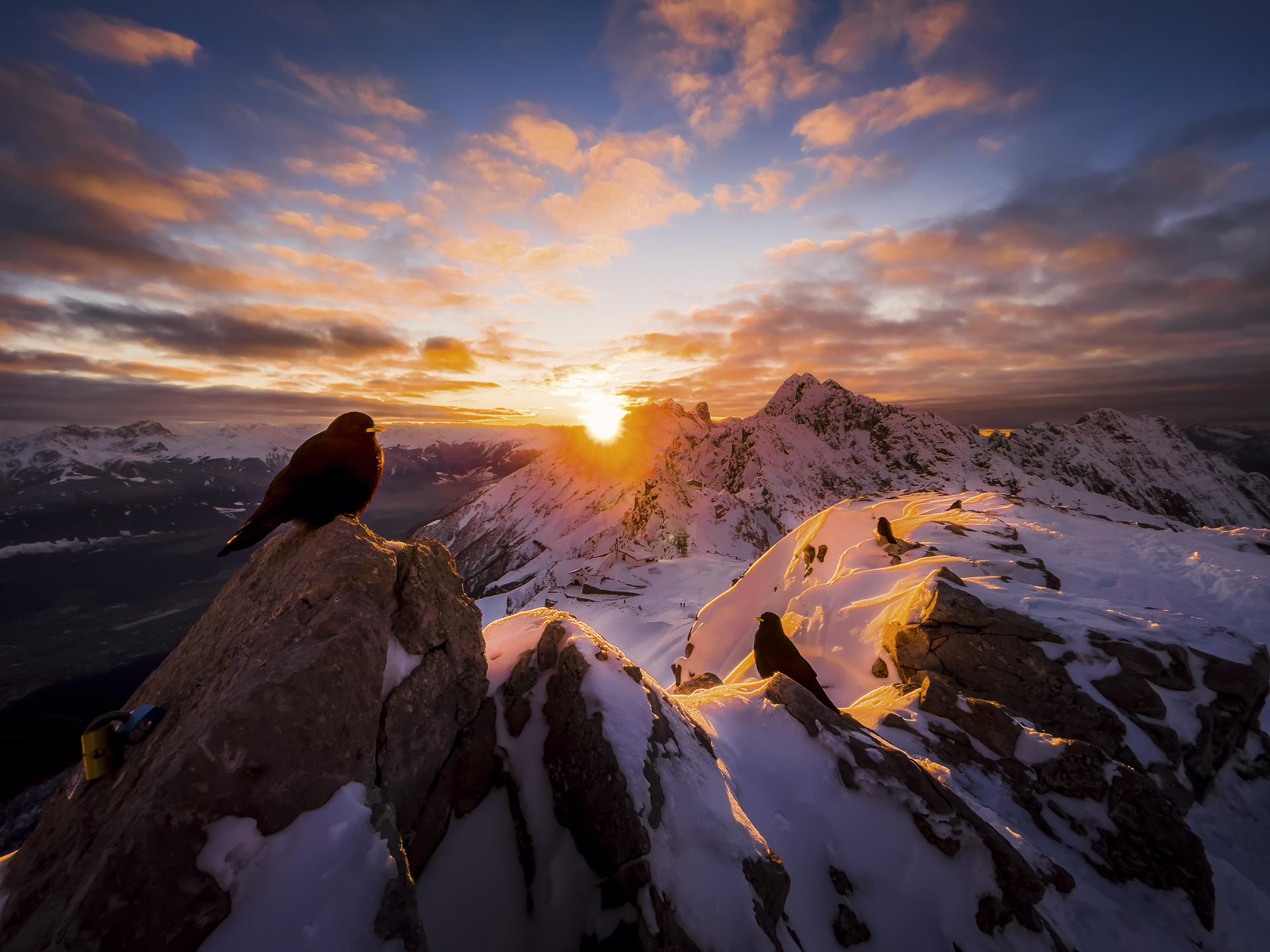 New York Photography Awards Winner - Enjoying the sunset