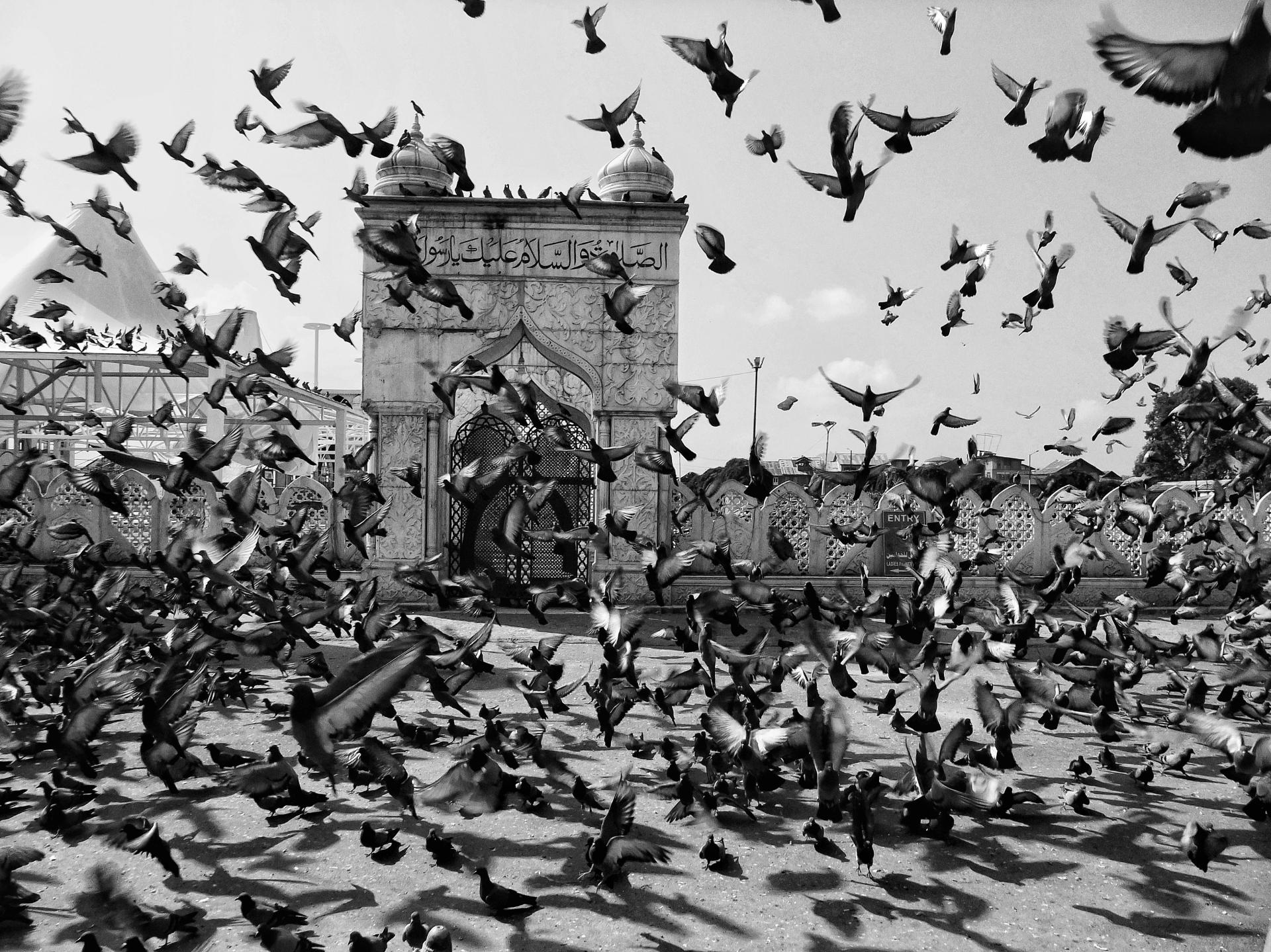 New York Photography Awards Winner - Srinagar Dargah Hazratbal Shrine