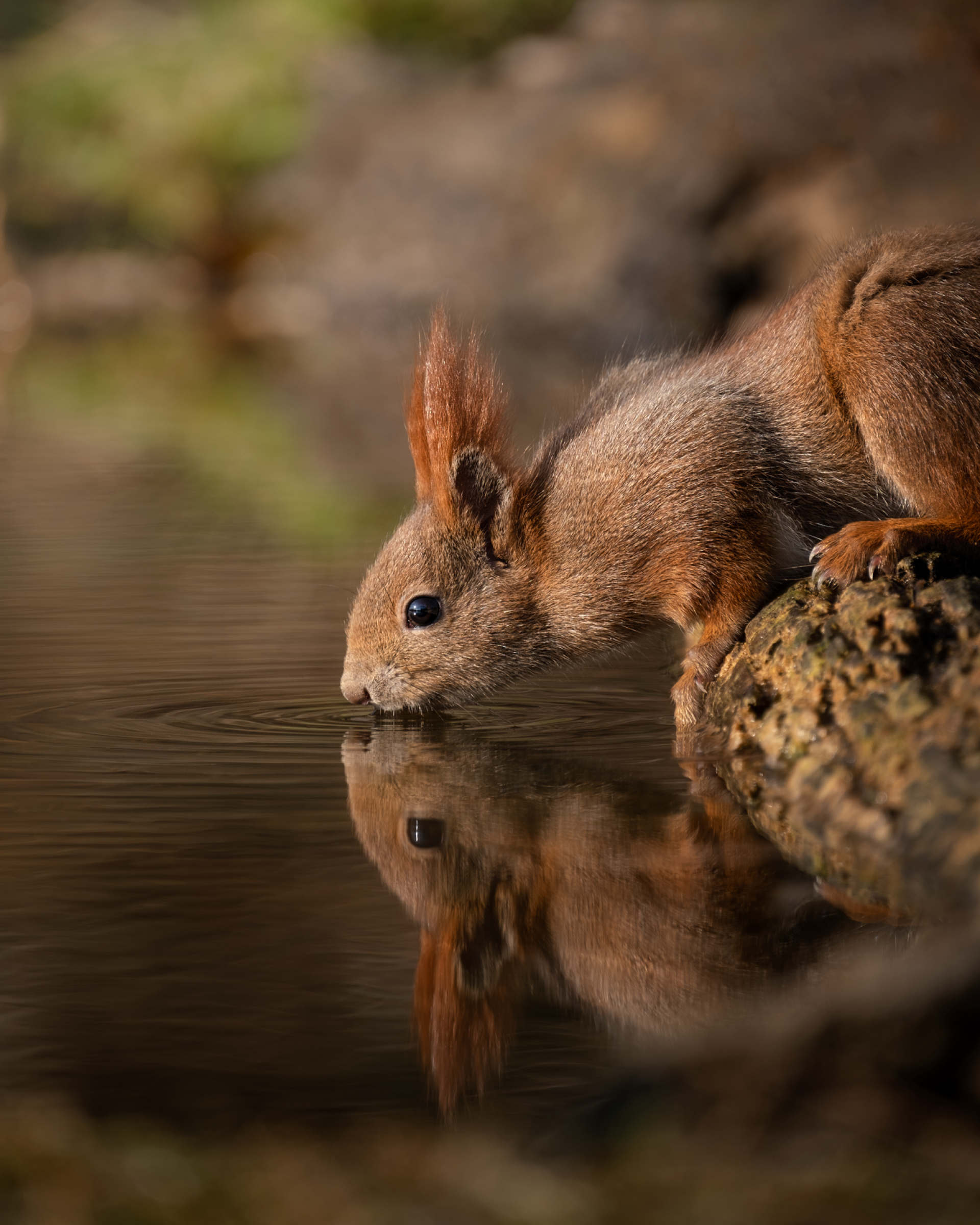 New York Photography Awards Winner - 