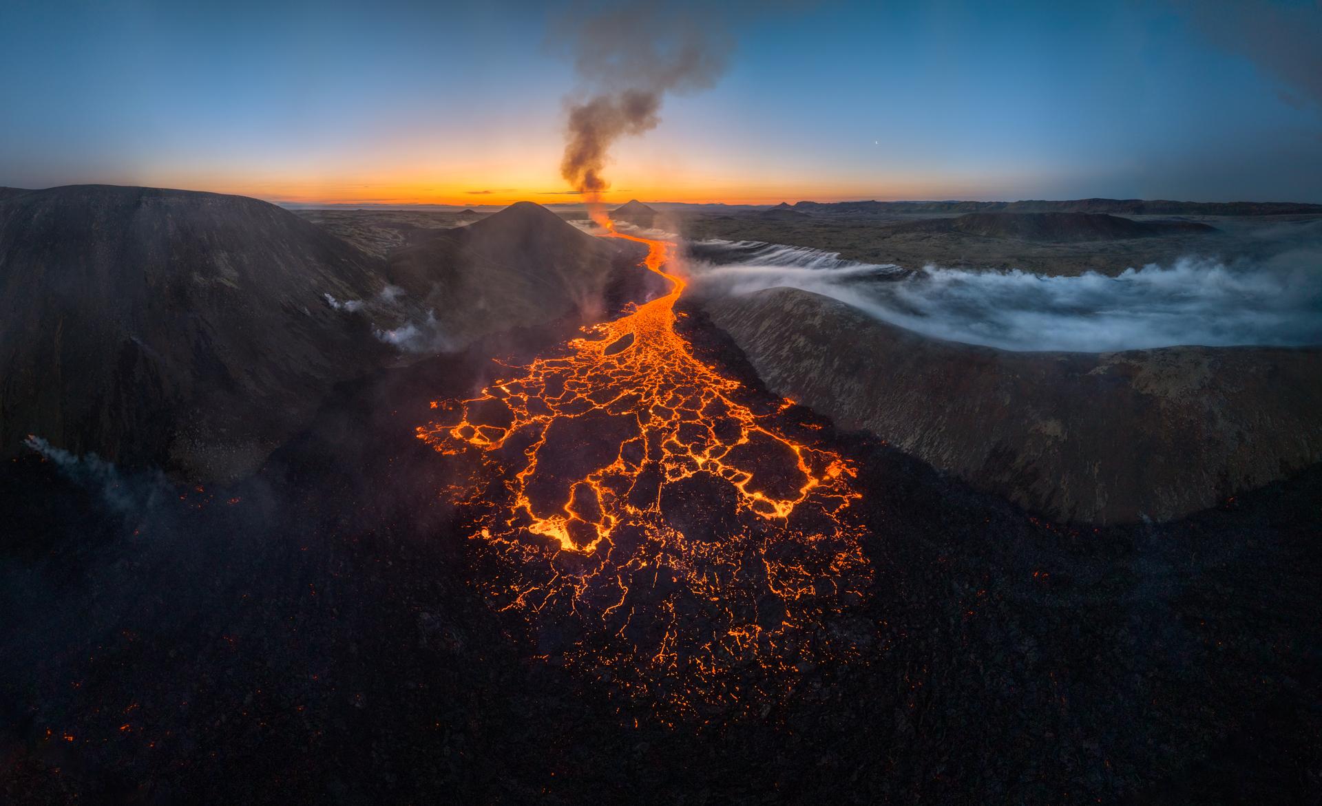 New York Photography Awards Winner - Yggdrasill