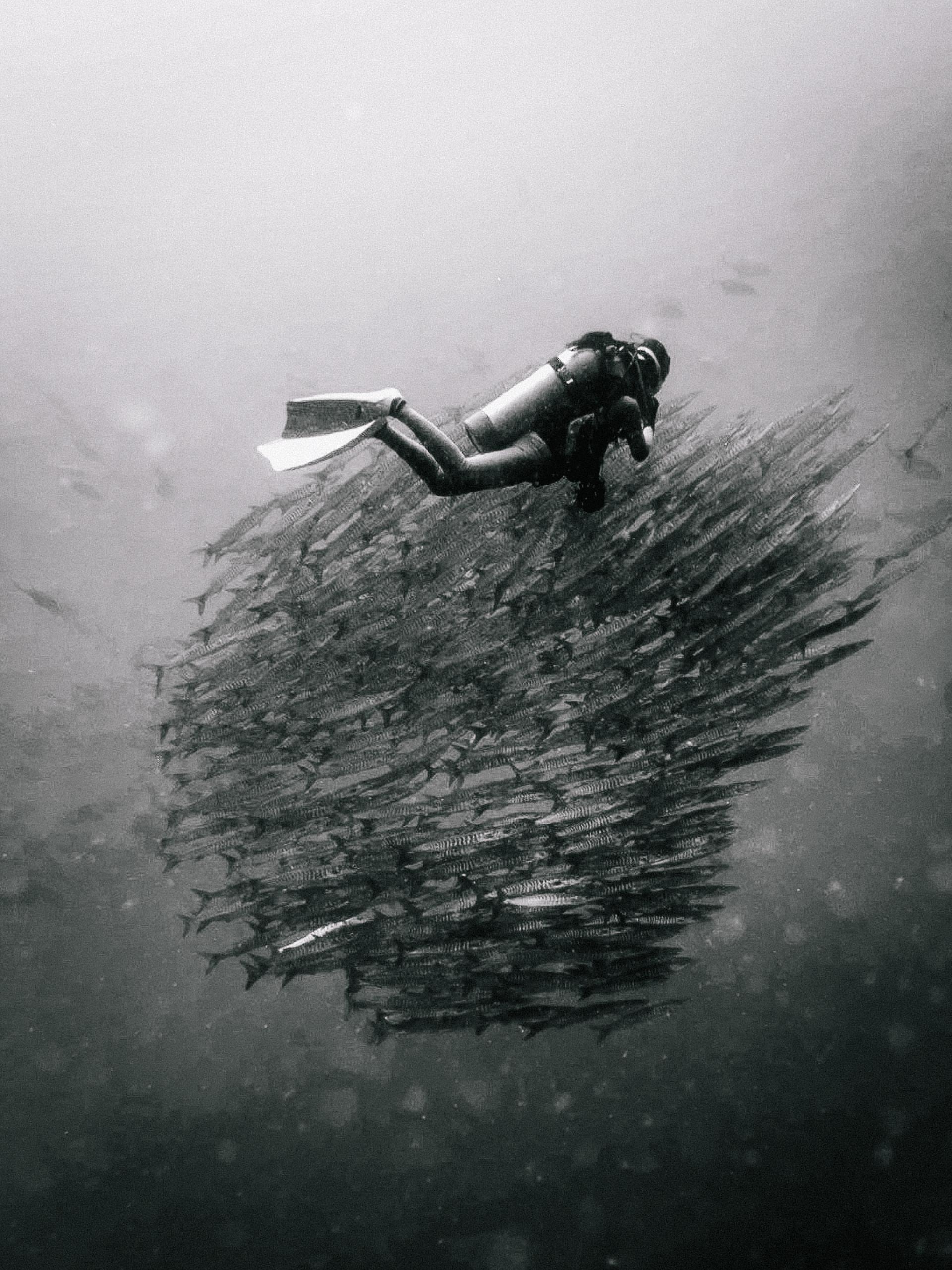 New York Photography Awards Winner - I am obsoletely a fish