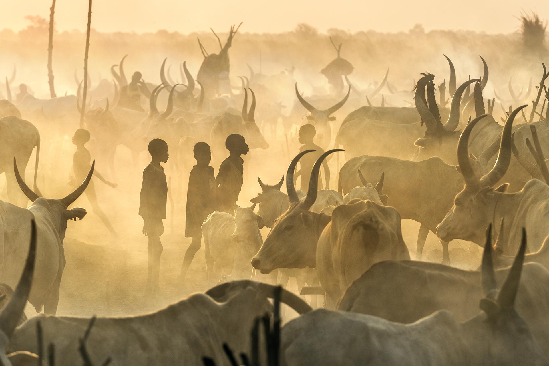 New York Photography Awards Winner - Mundari Culture