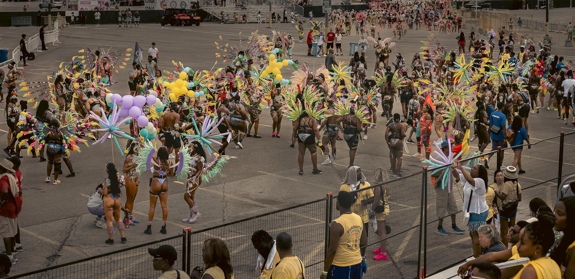 New York Photography Awards Winner - A Vibrant Tapestry 