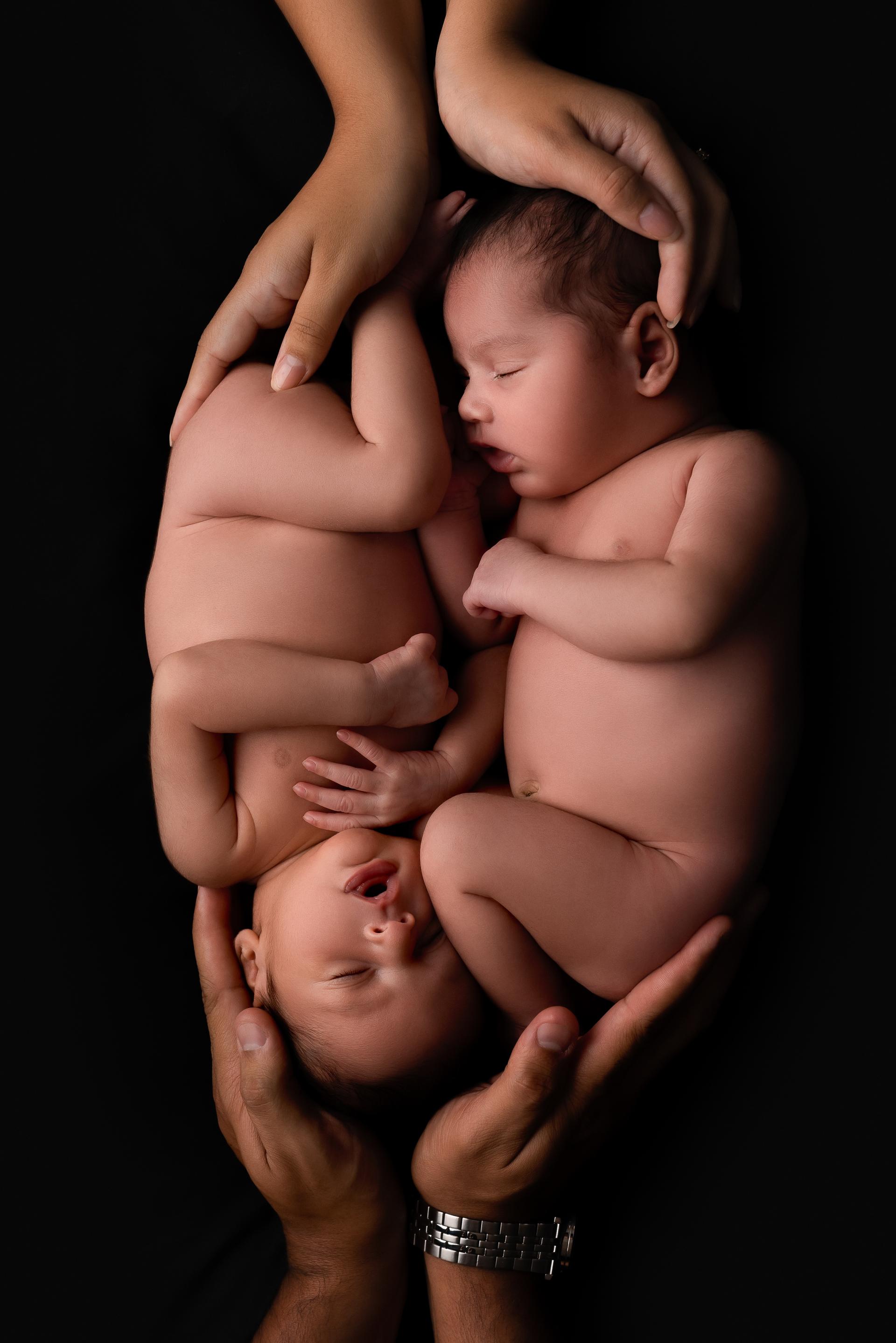 New York Photography Awards Winner - New Life