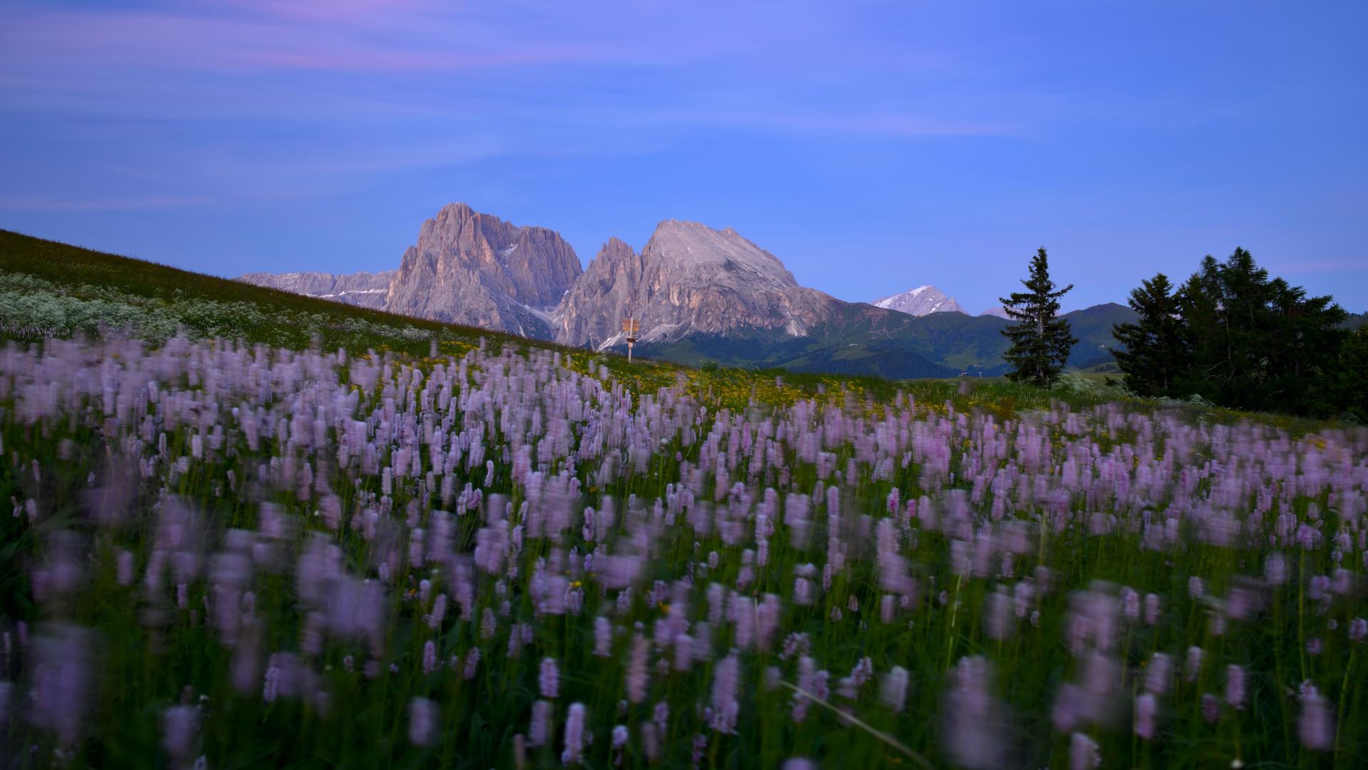 New York Photography Awards Winner - Moods in spring in the Dolomites