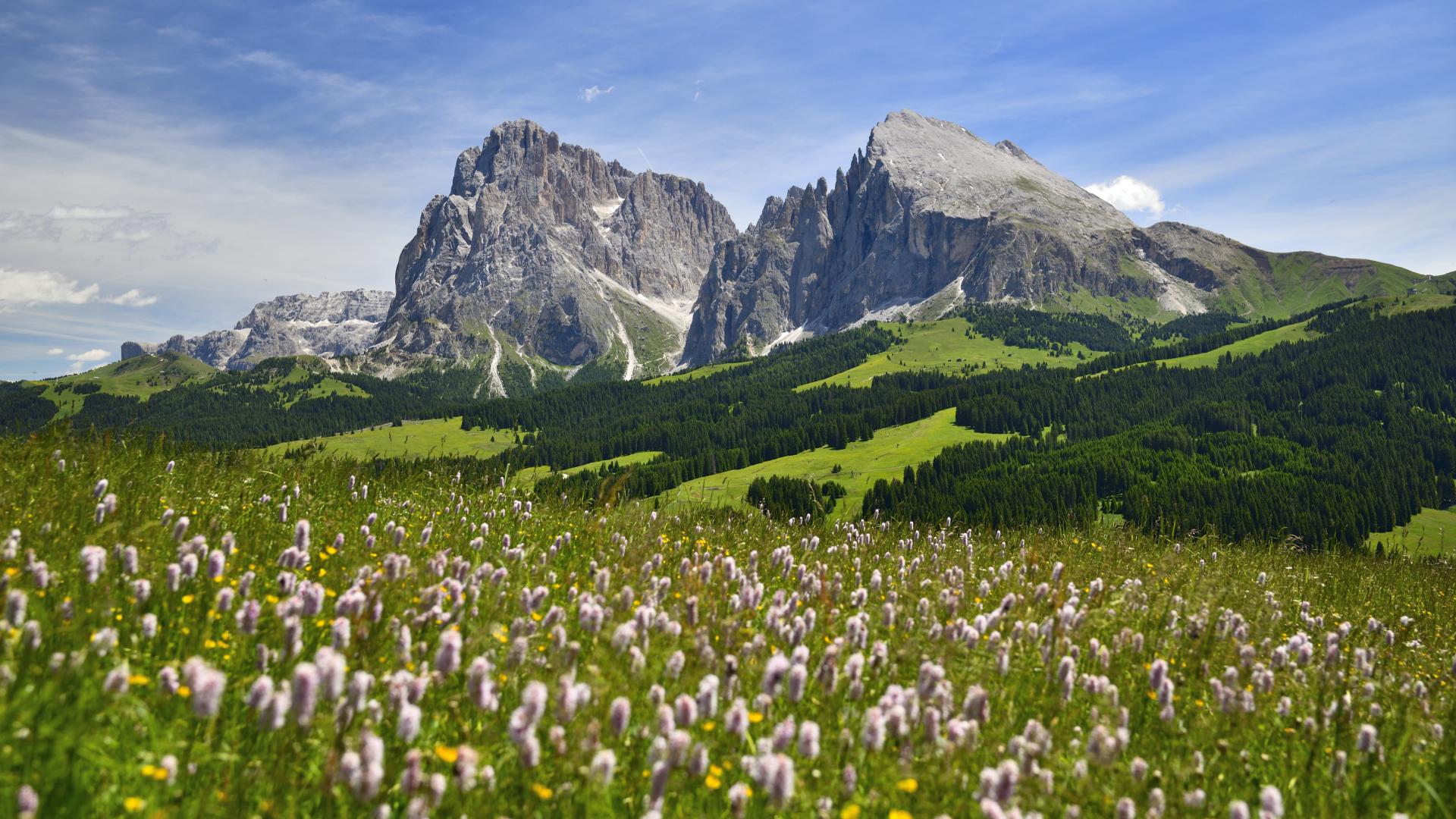 New York Photography Awards Winner - Moods in spring in the Dolomites