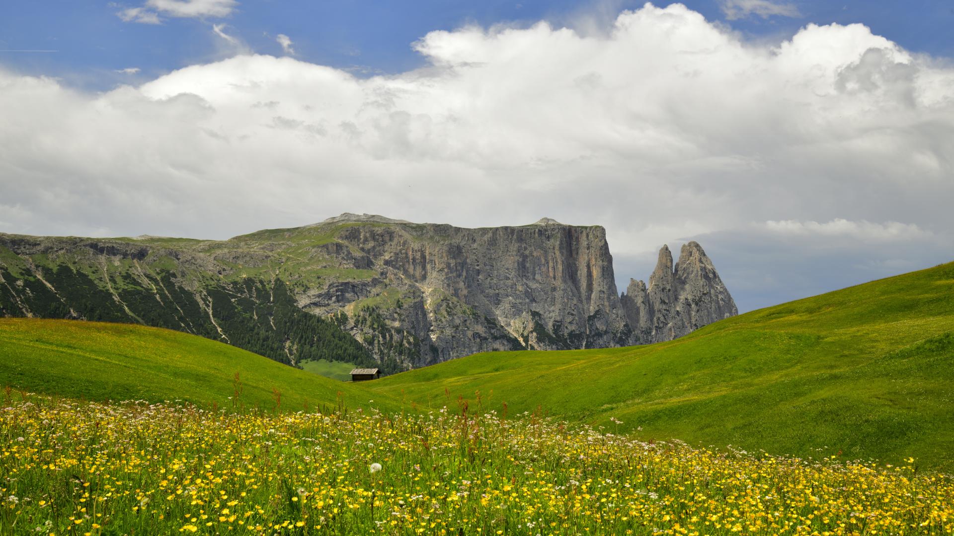 New York Photography Awards Winner - Moods in spring in the Dolomites