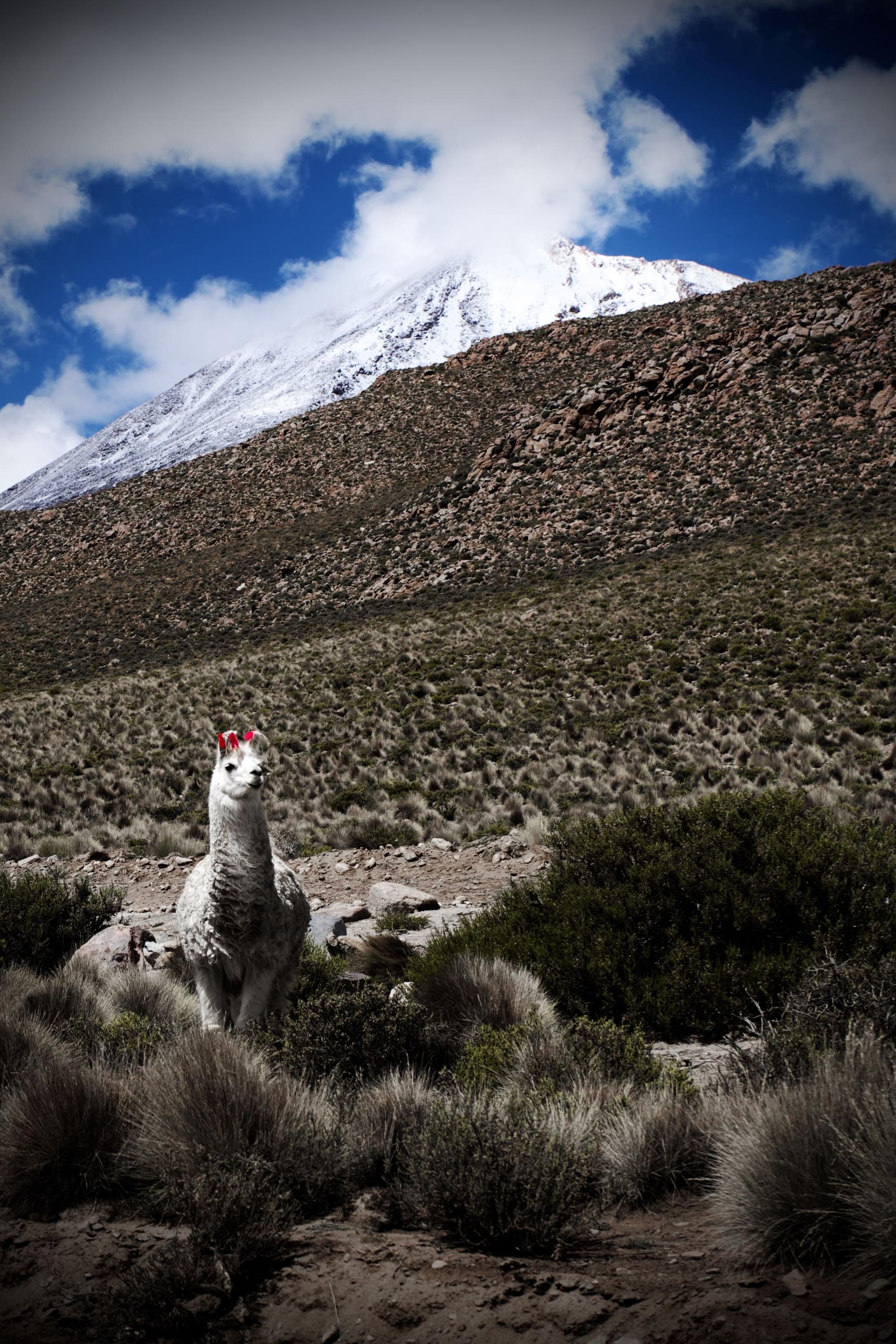 New York Photography Awards Winner - Pure nature of South America