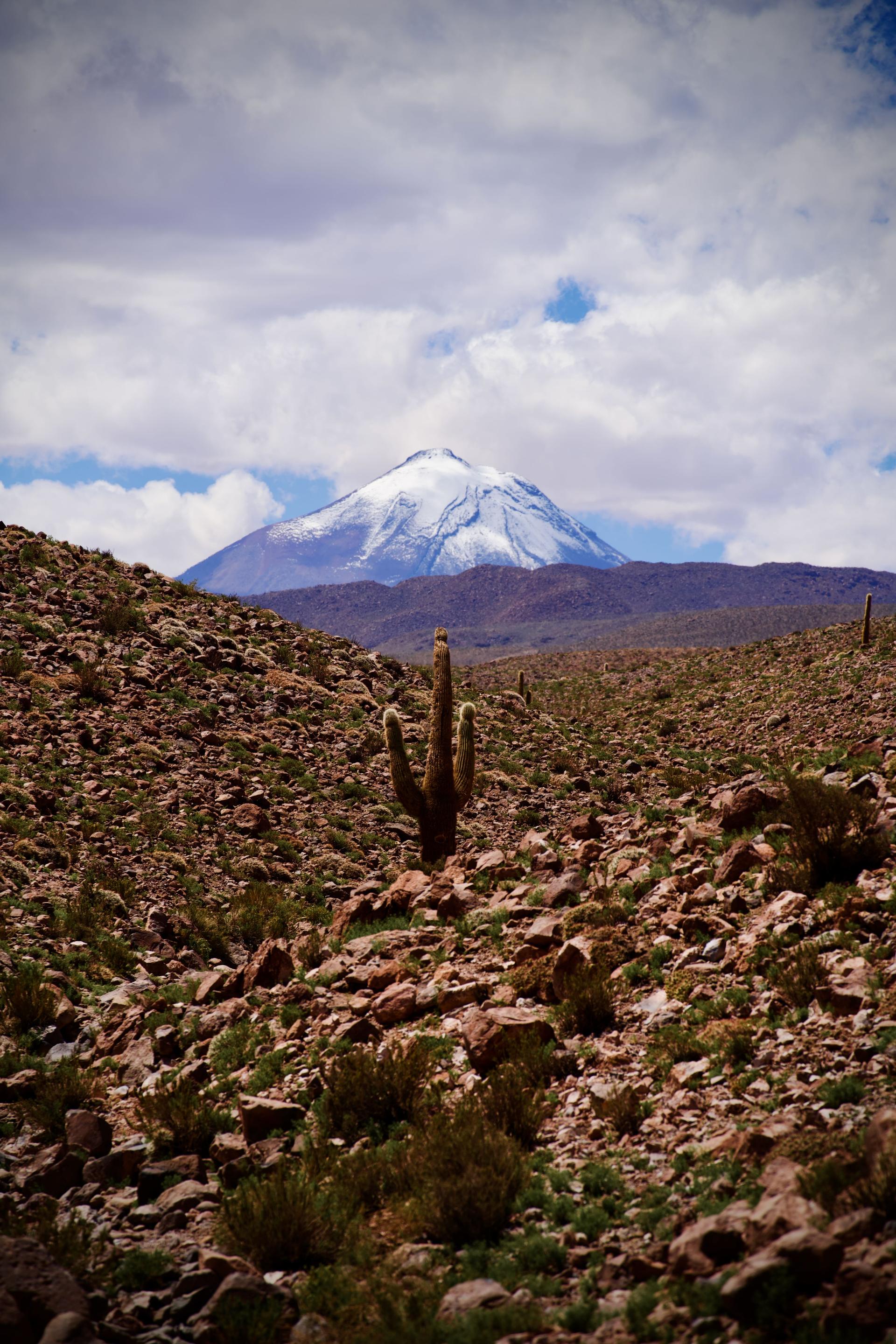 New York Photography Awards Winner - Pure nature of South America