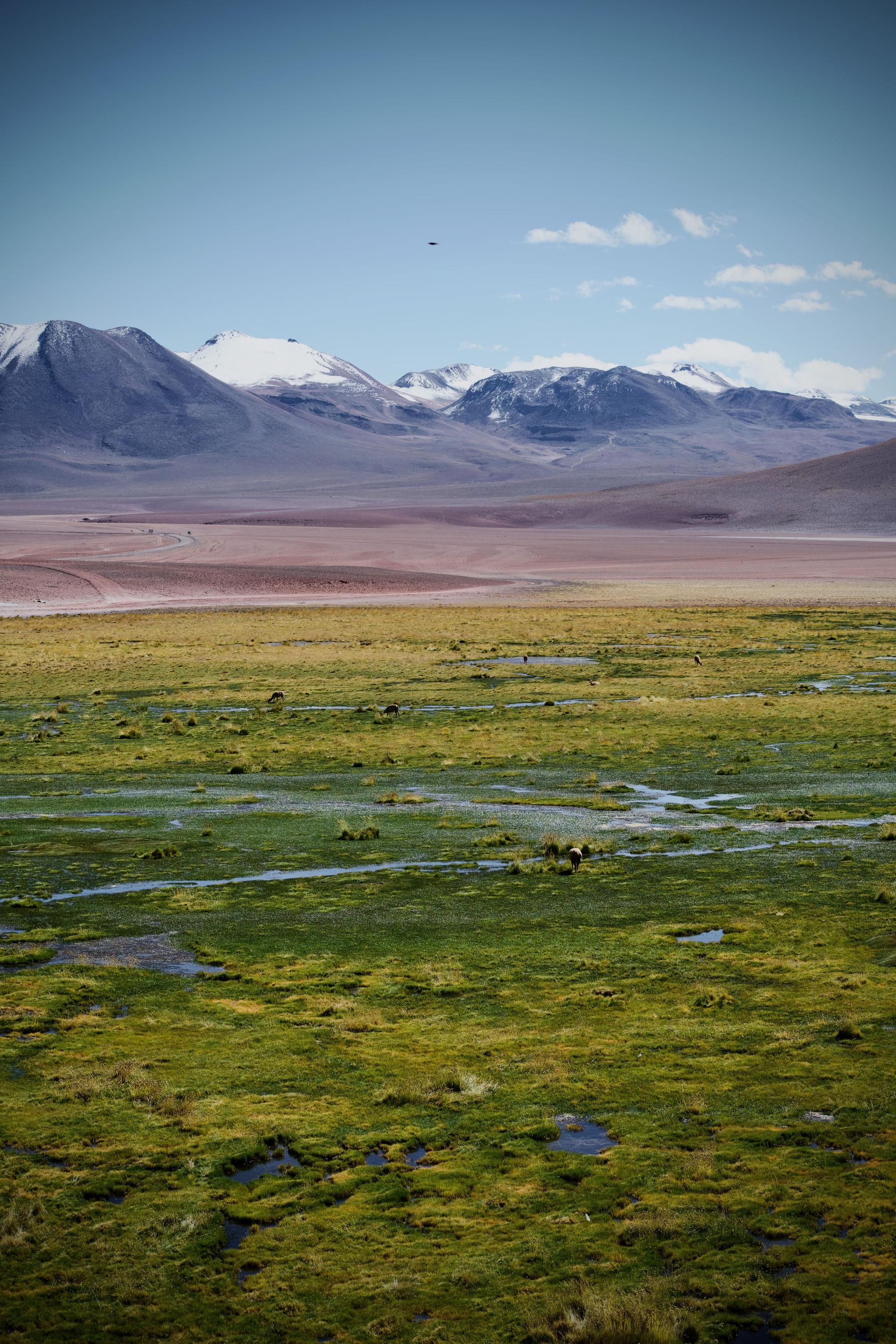 New York Photography Awards Winner - Pure nature of South America