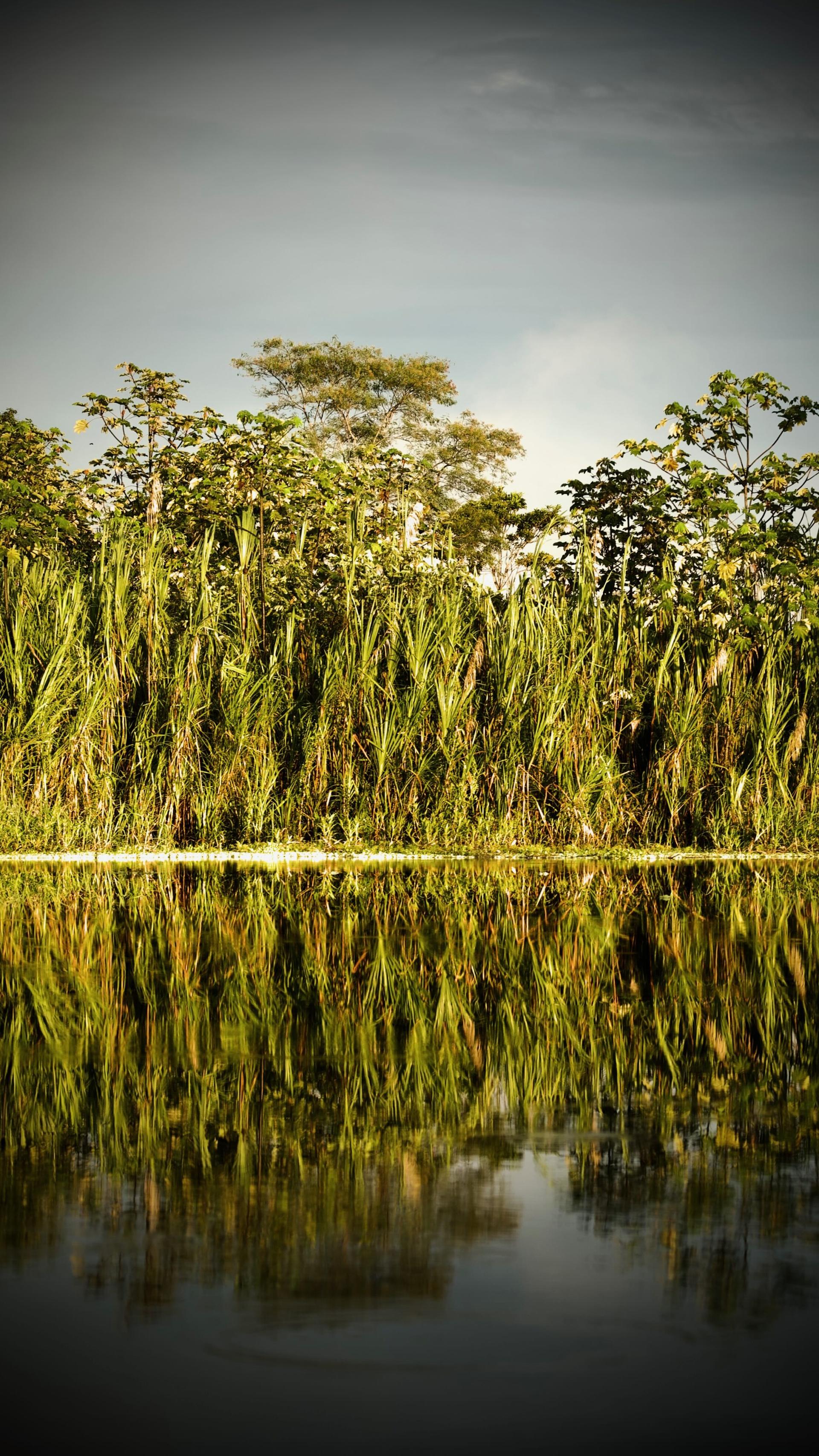 New York Photography Awards Winner - Pure nature of South America