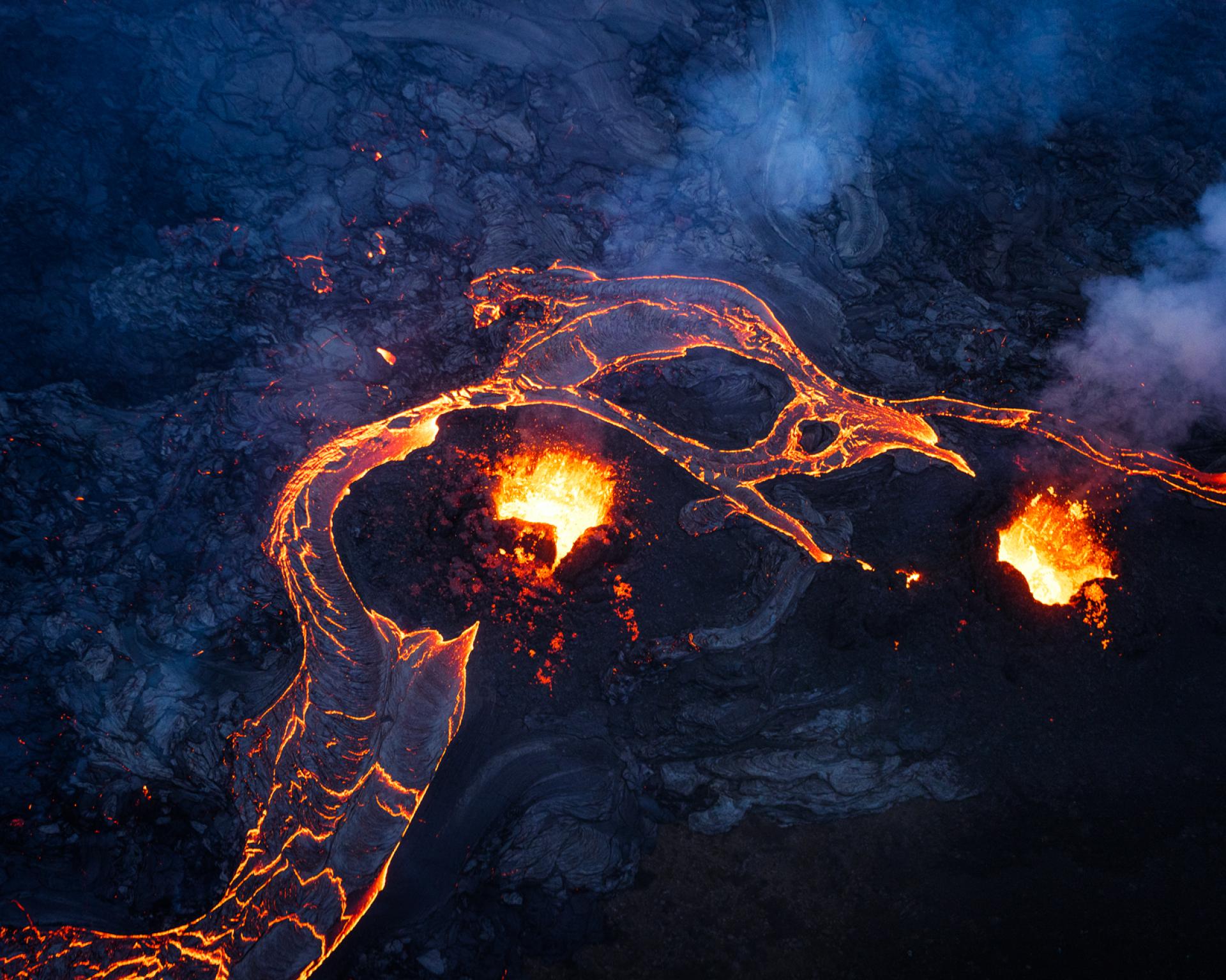 New York Photography Awards Winner - Hungry Dragon