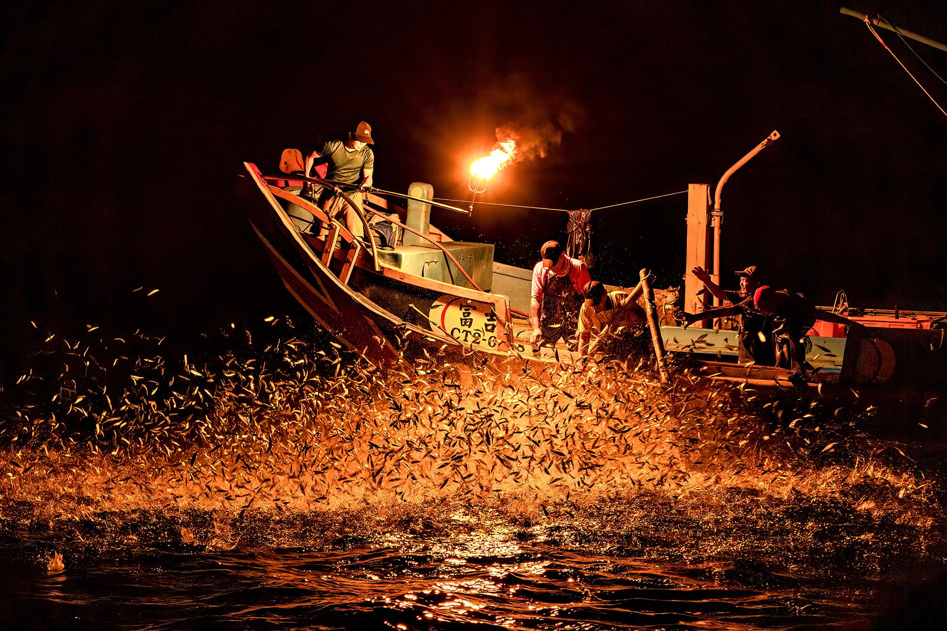 New York Photography Awards Winner - Bumper harvest