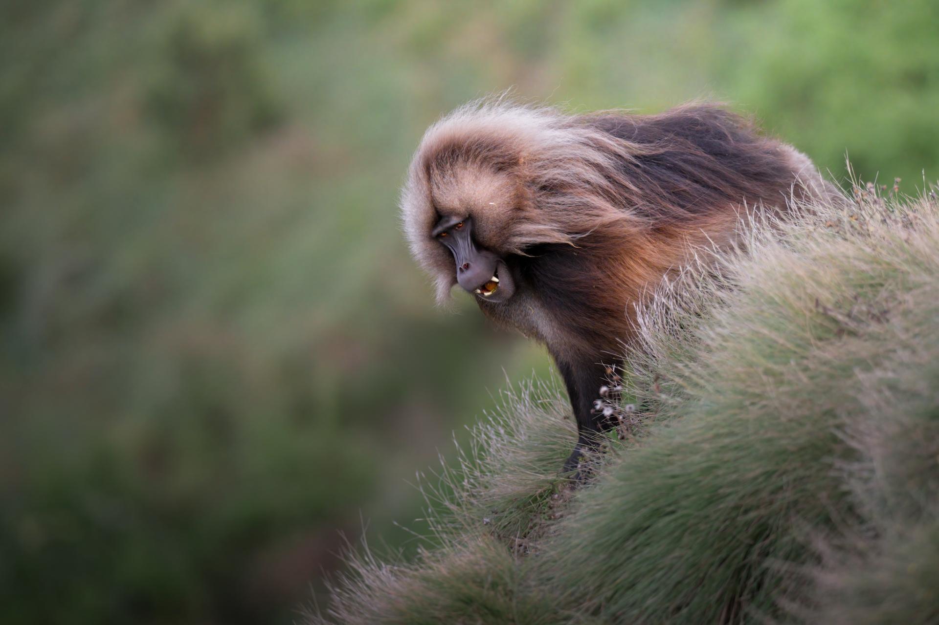 New York Photography Awards Winner - Ancient wisdom