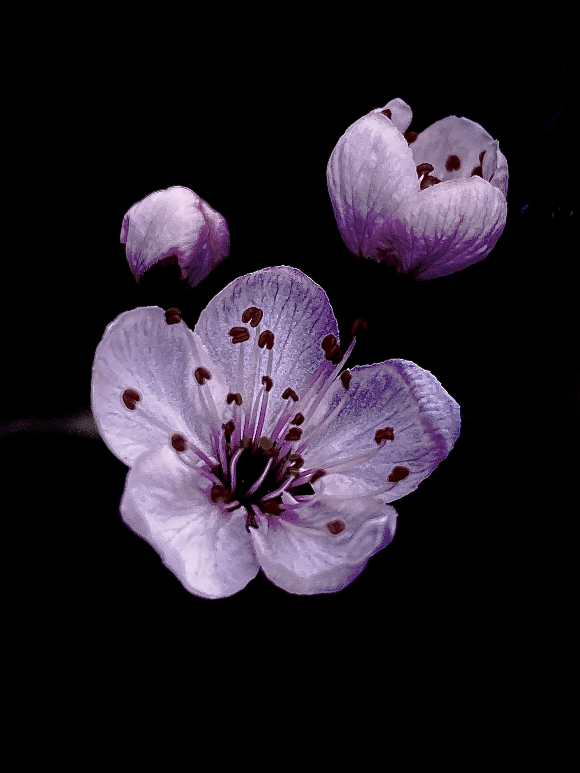 New York Photography Awards Winner - Nature of Universe 