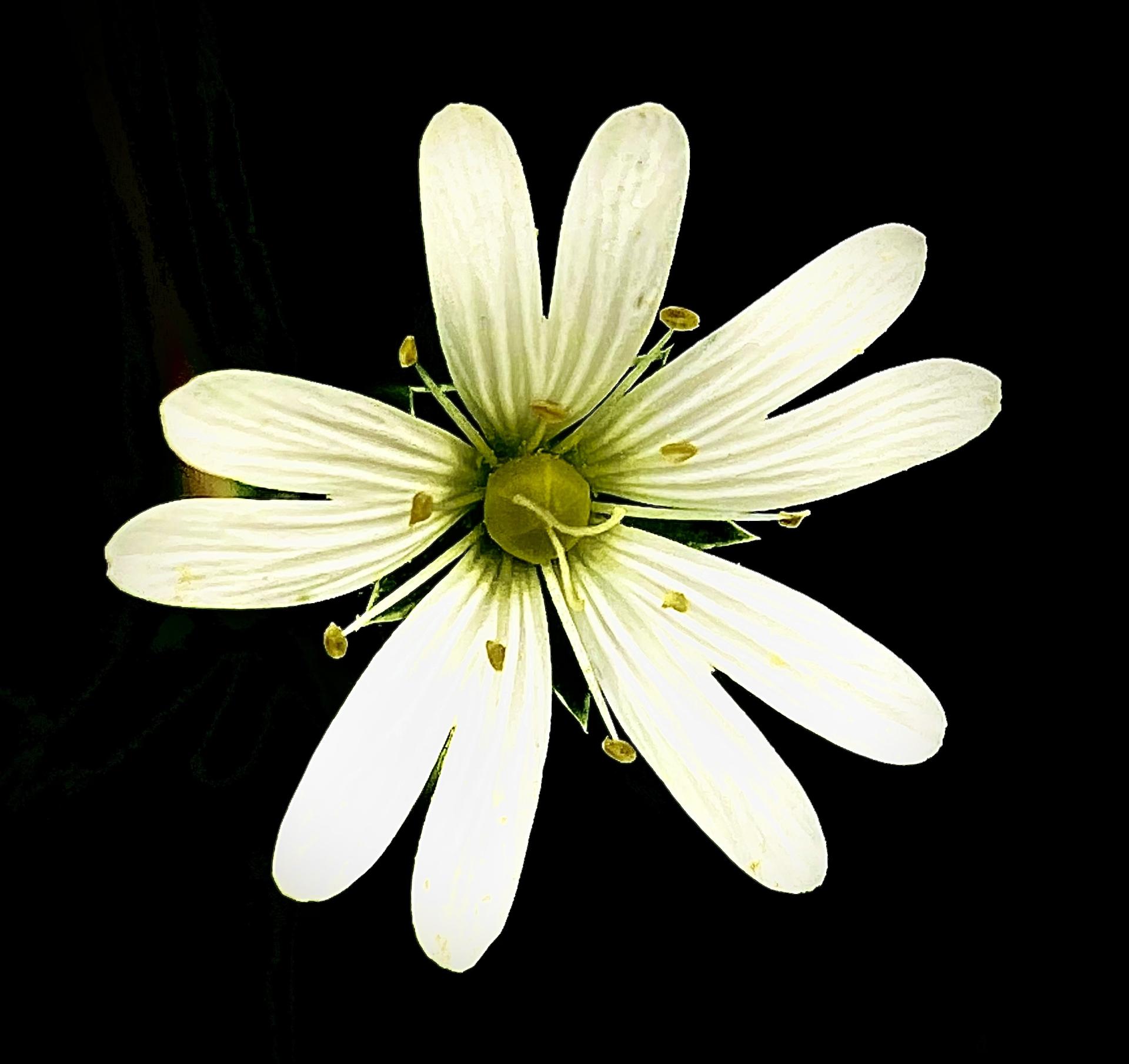 New York Photography Awards Winner - Nature of Universe 