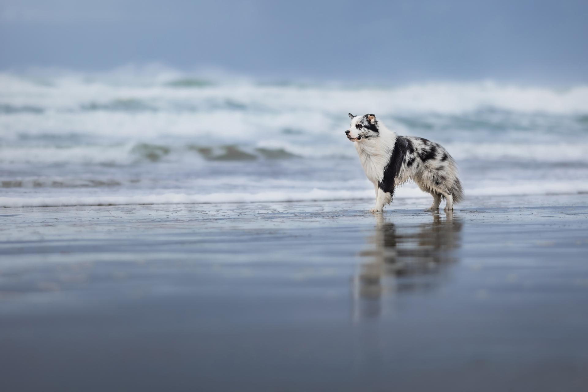 New York Photography Awards Winner - Stormy Shore