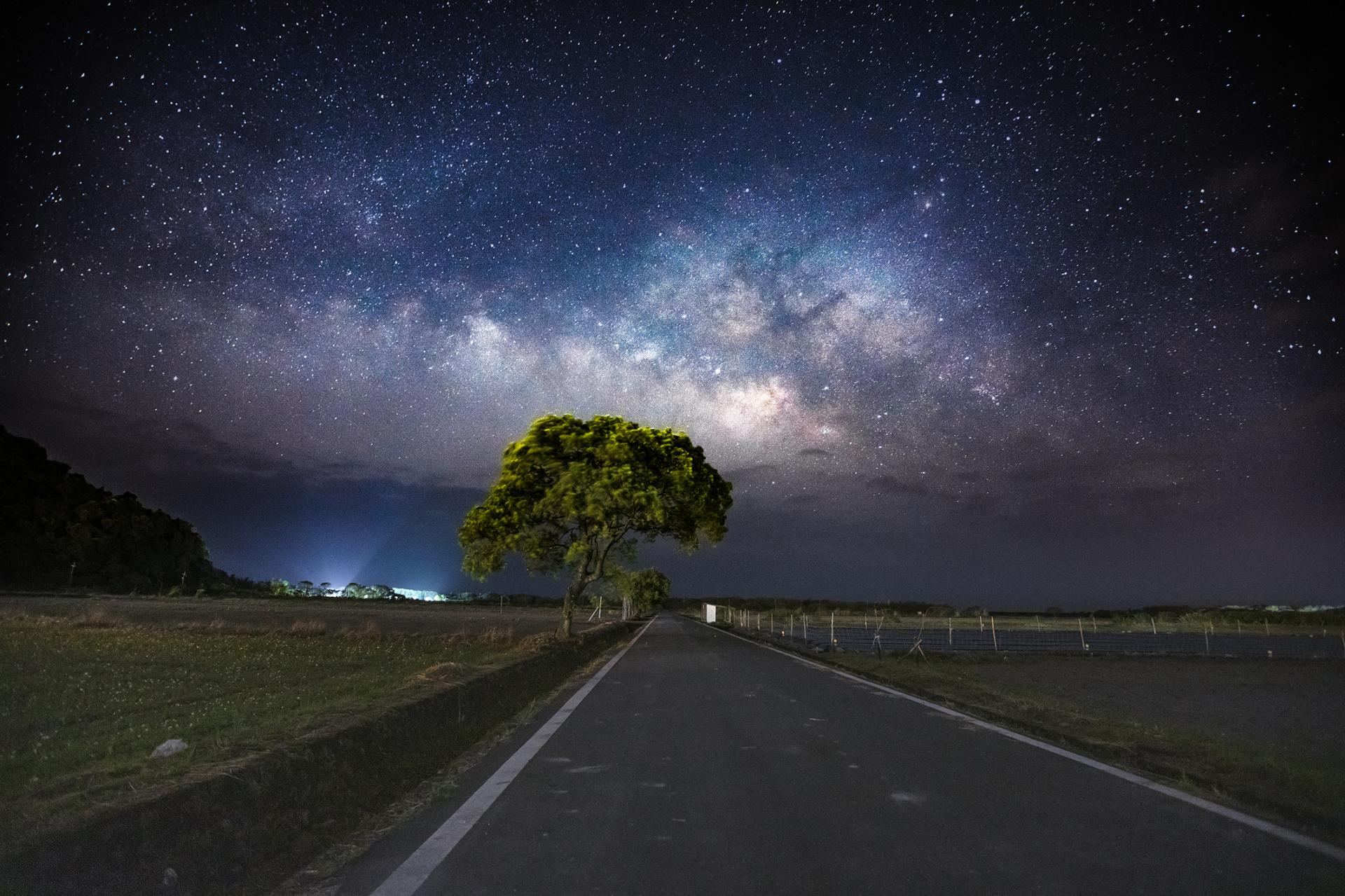 New York Photography Awards Winner - Milky Way on the tree