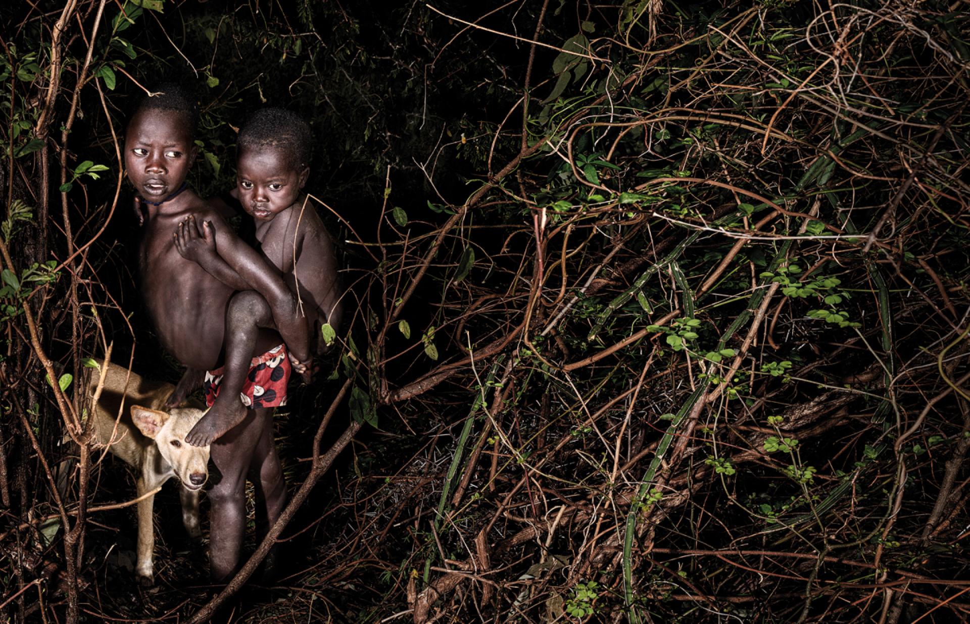 New York Photography Awards Winner - Hiding in the Bush