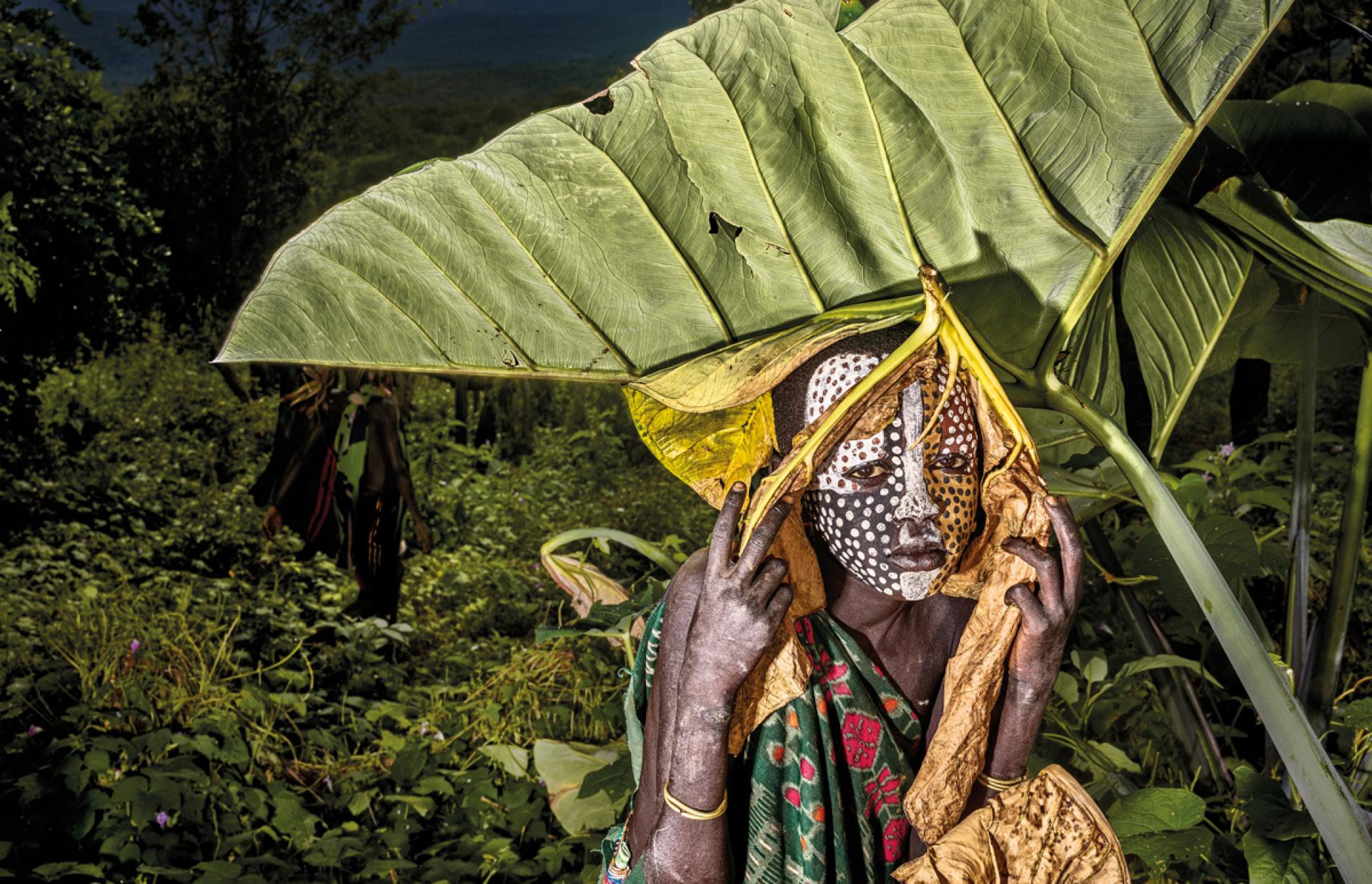 New York Photography Awards Winner - Beauty in the Bush