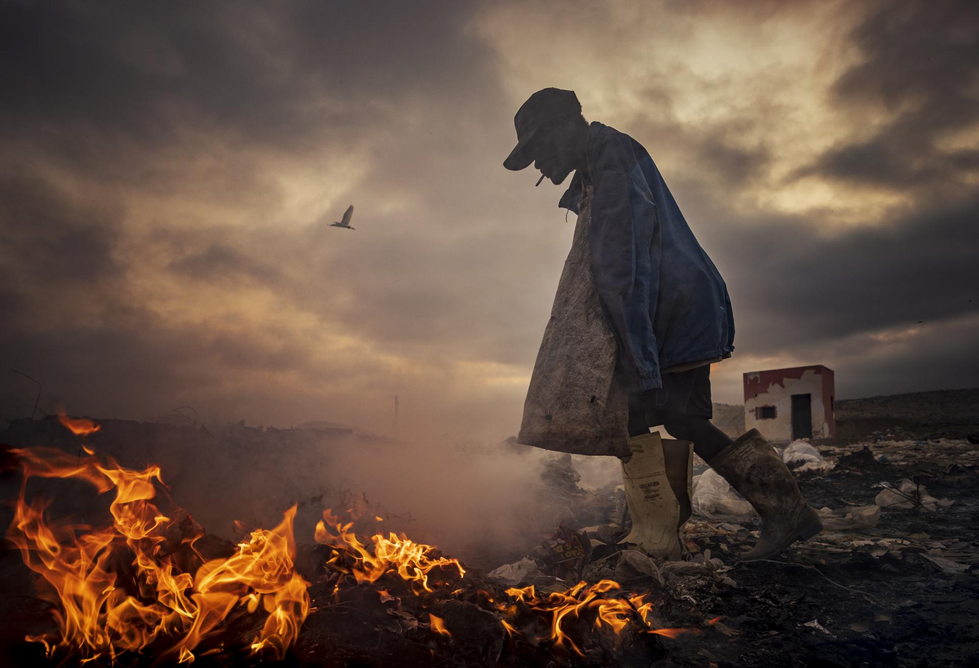 New York Photography Awards Winner - Scavengers