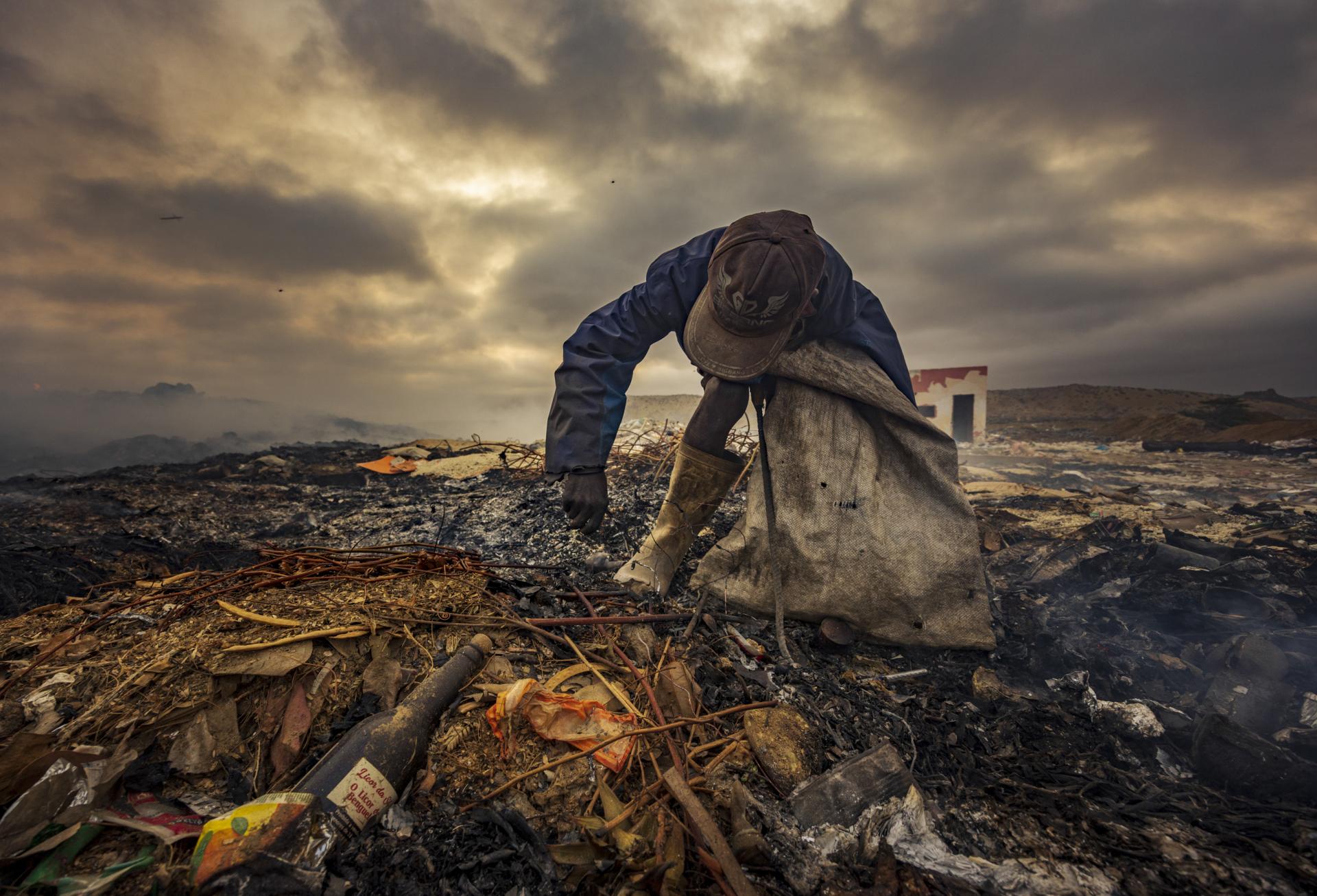 New York Photography Awards Winner - Scavengers