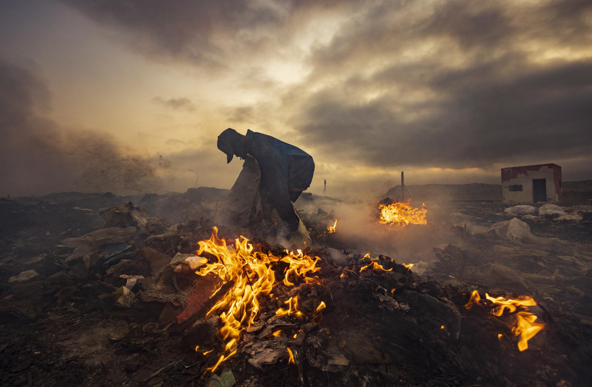 New York Photography Awards Winner - Scavengers