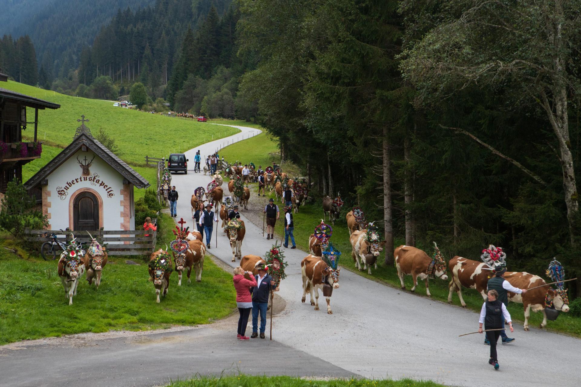 New York Photography Awards Winner - Down from the Alps: The Almabtrieb