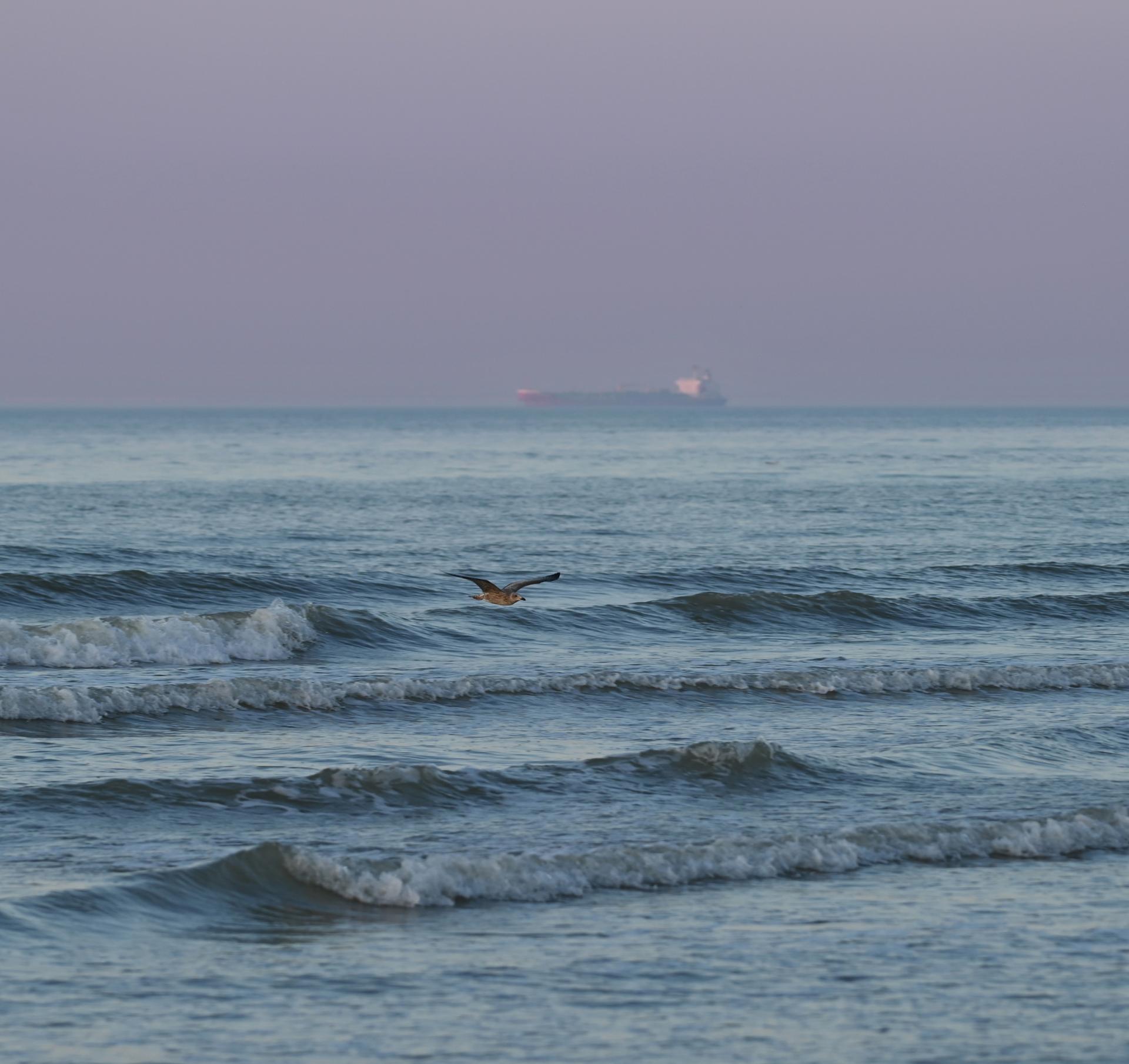 New York Photography Awards Winner - Fragmented Contemplation on the Beach