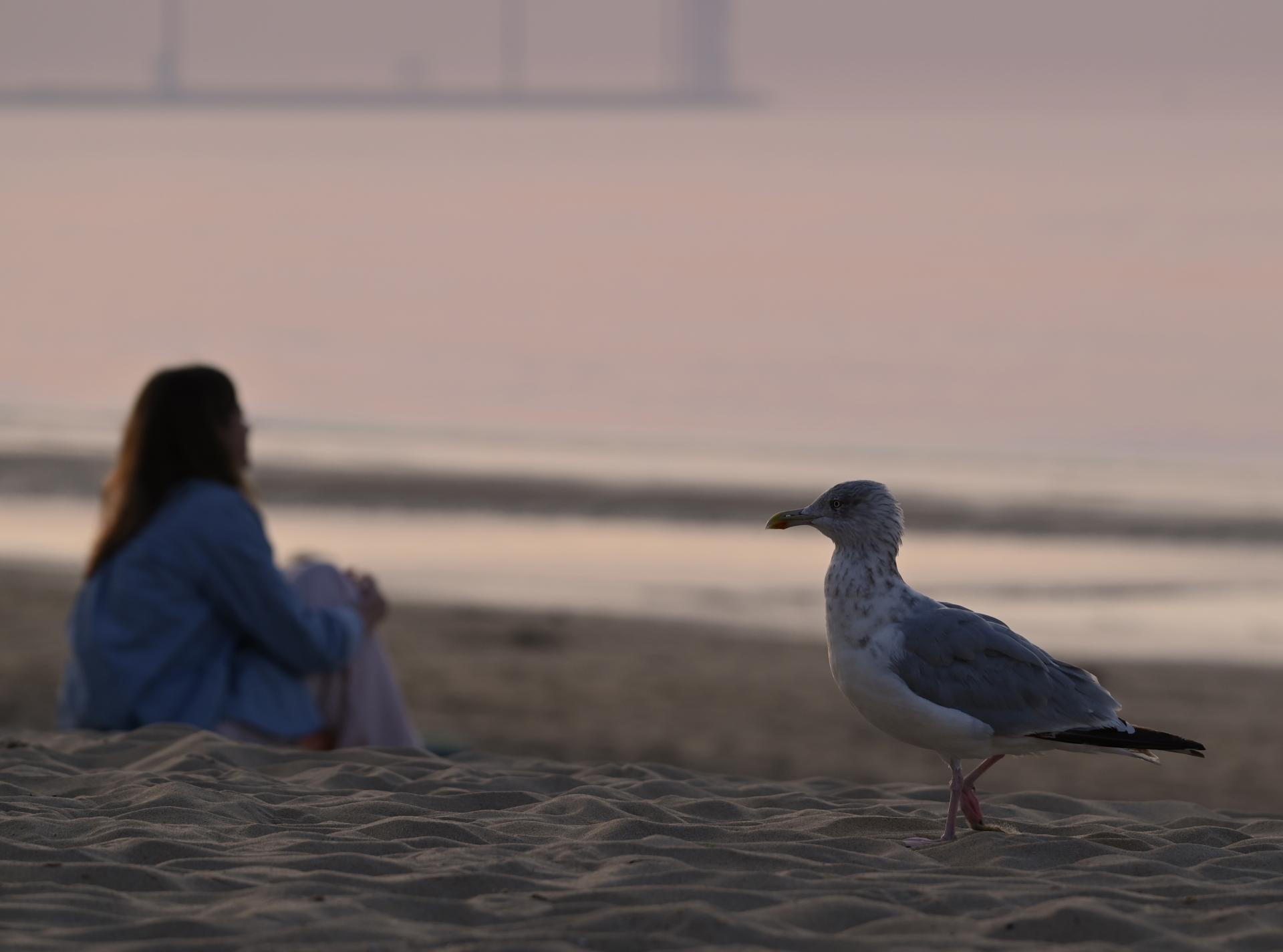 New York Photography Awards Winner - Fragmented Contemplation on the Beach