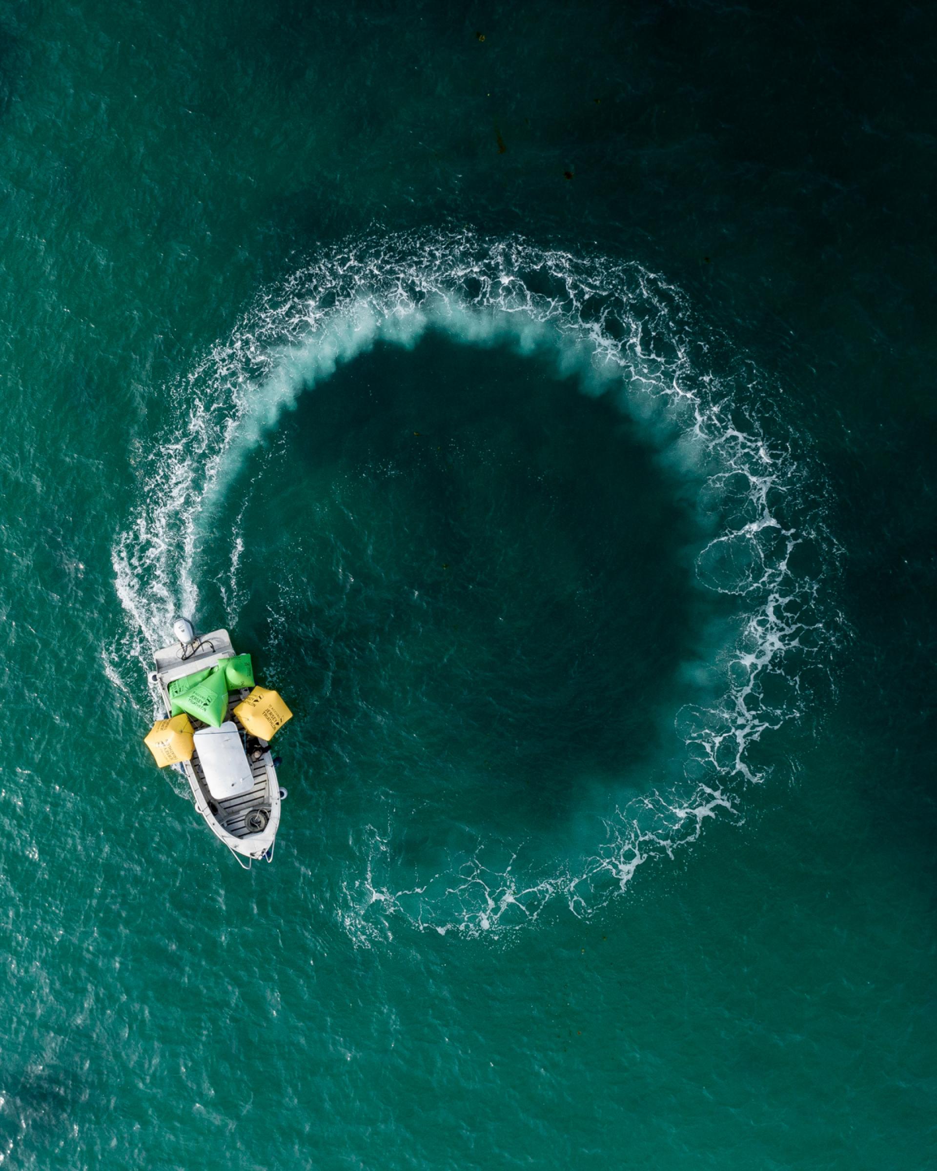 New York Photography Awards Winner - Tray of Ocean Donuts