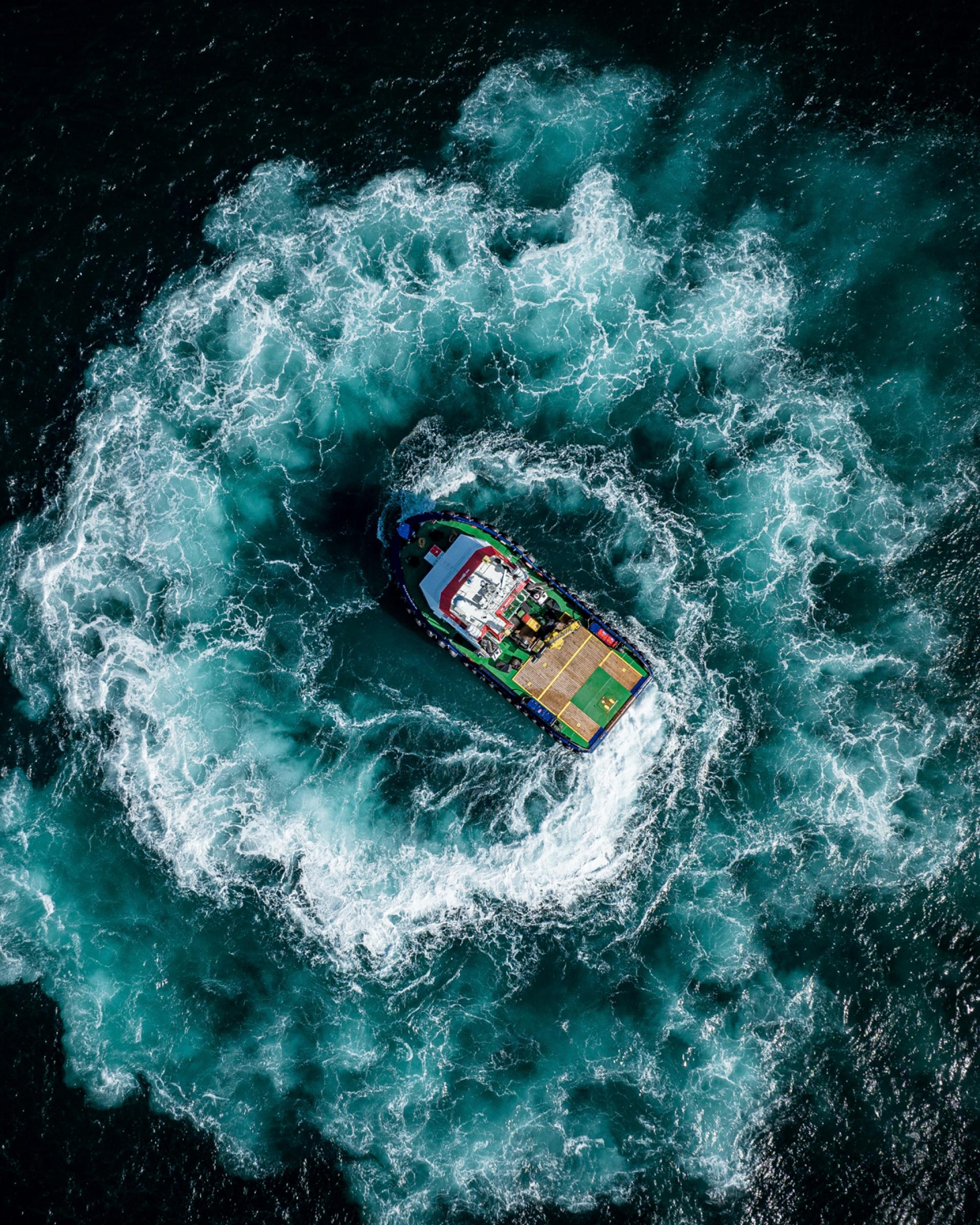 New York Photography Awards Winner - Tray of Ocean Donuts