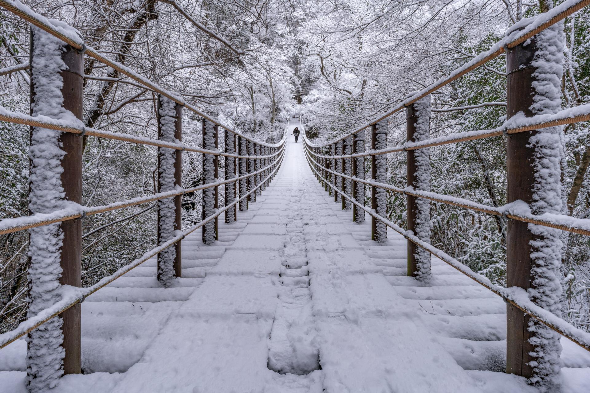 New York Photography Awards Winner - Monochromatic Silence