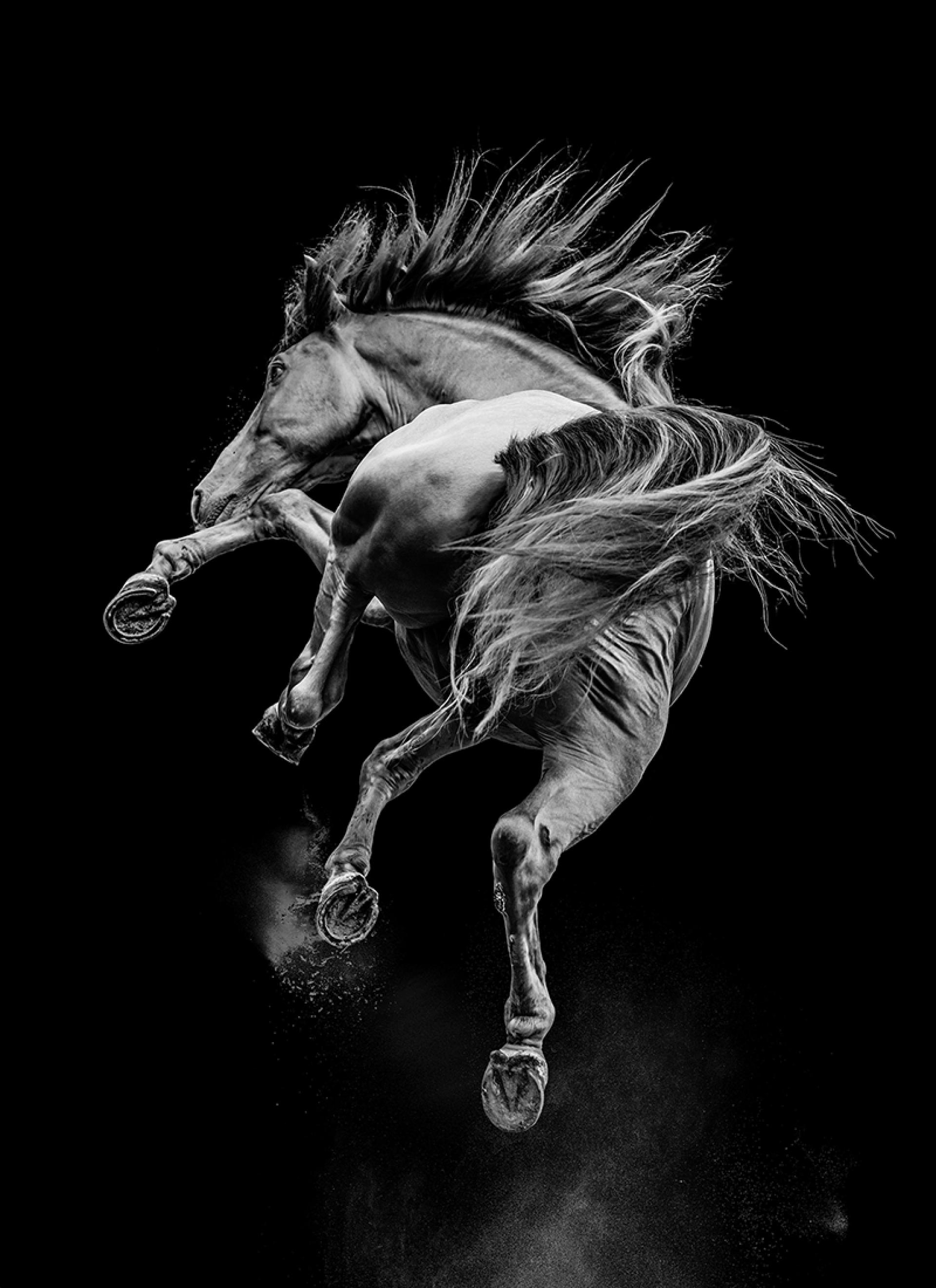 New York Photography Awards Winner - contortionist