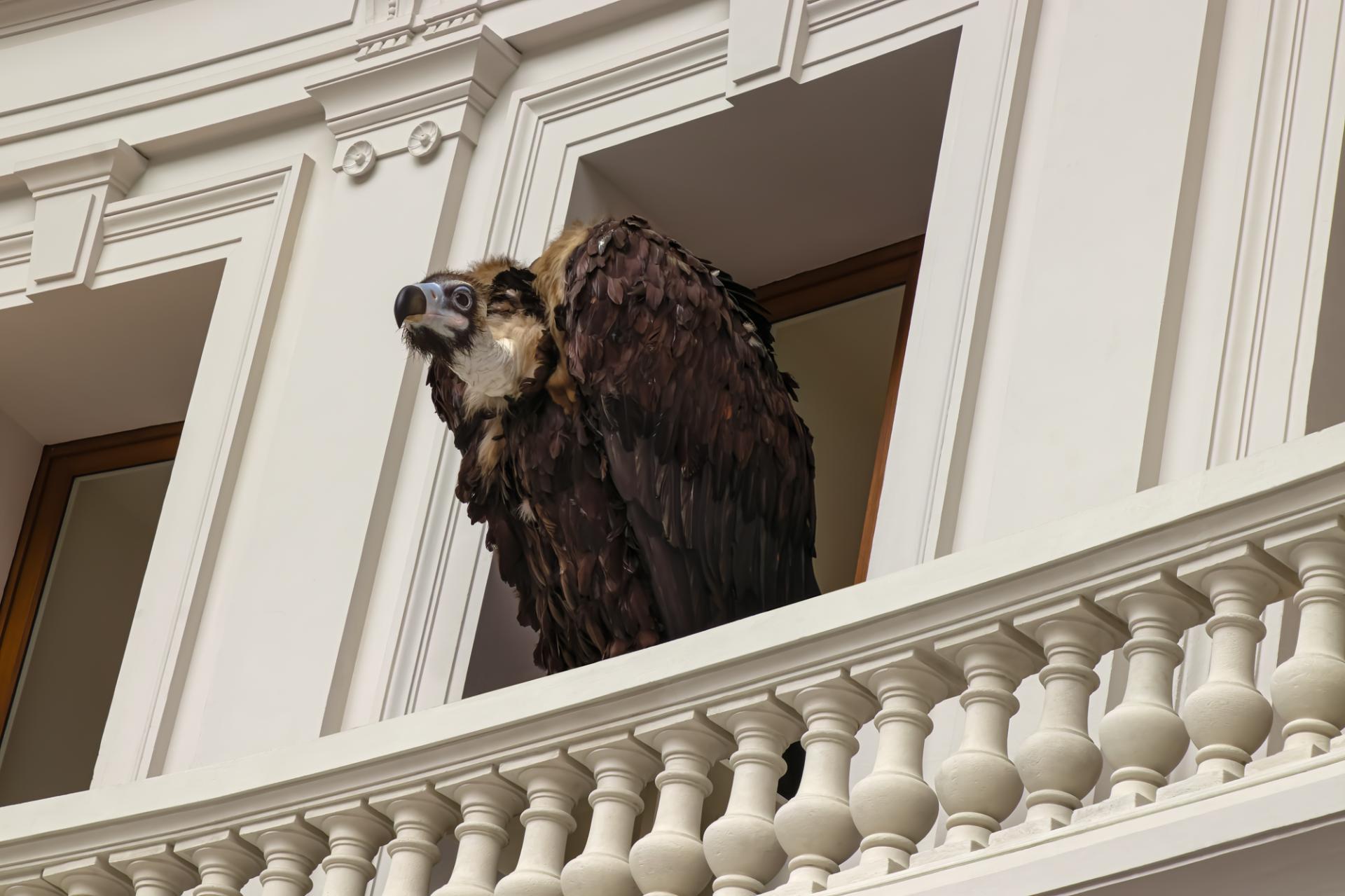 New York Photography Awards Winner - Bourse
