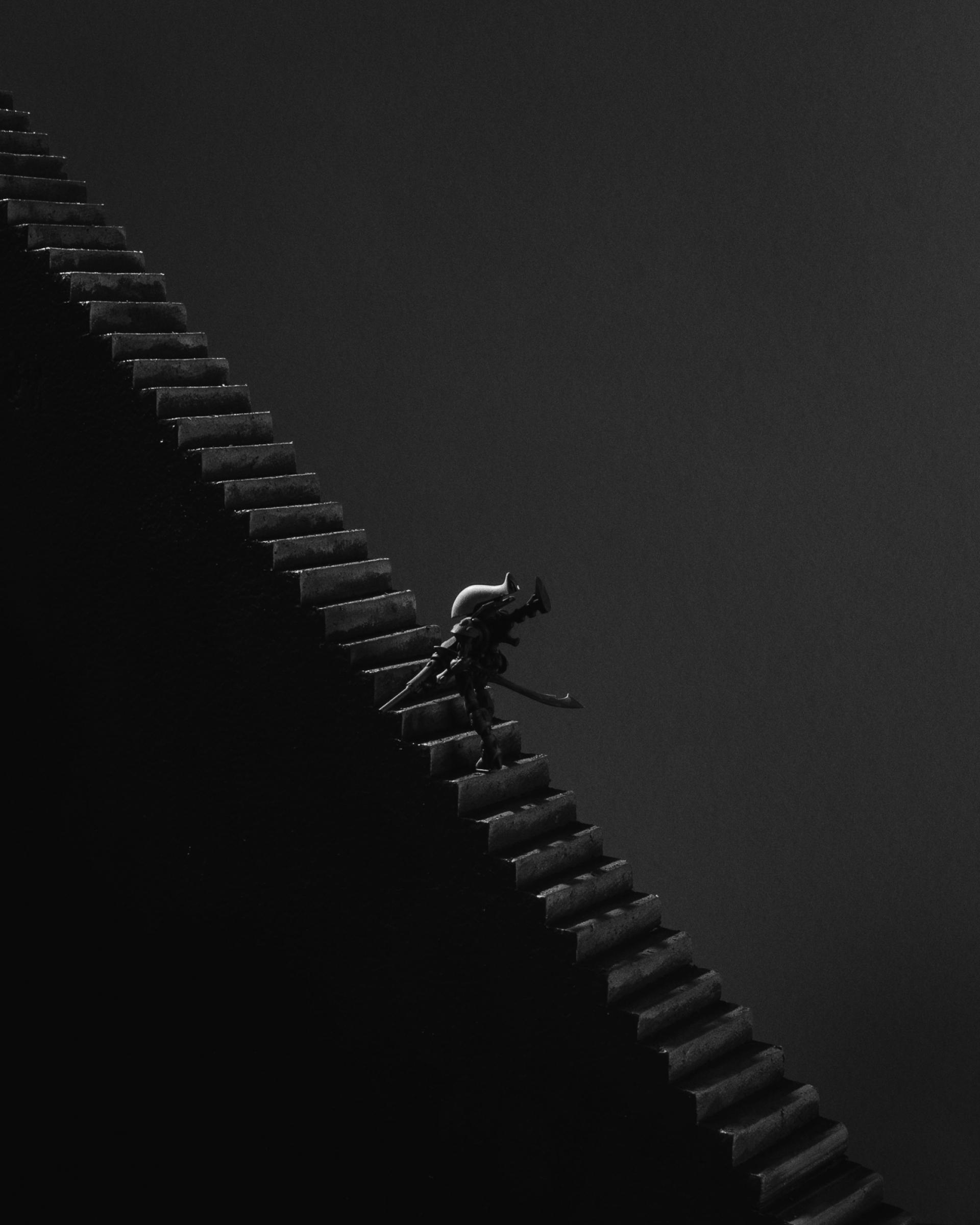 New York Photography Awards Winner - Solitude