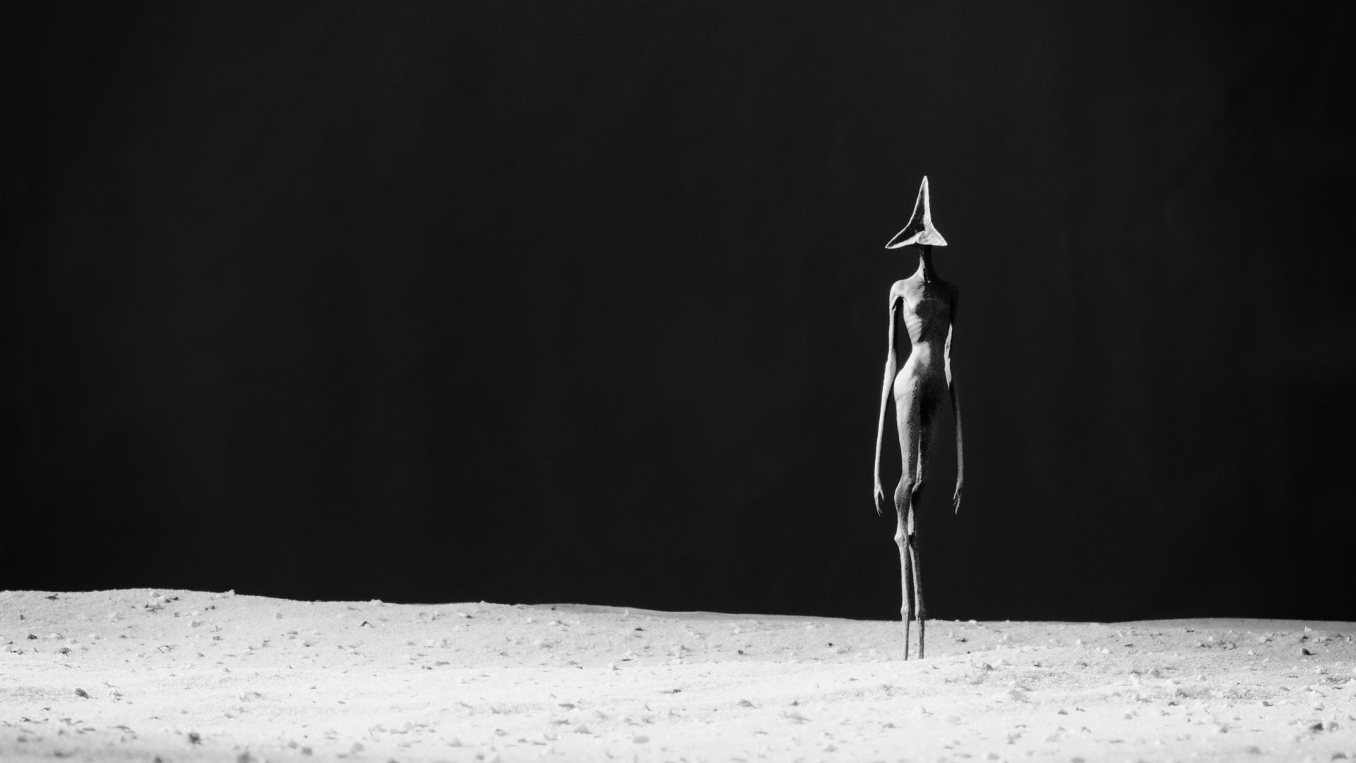 New York Photography Awards Winner - Solitude