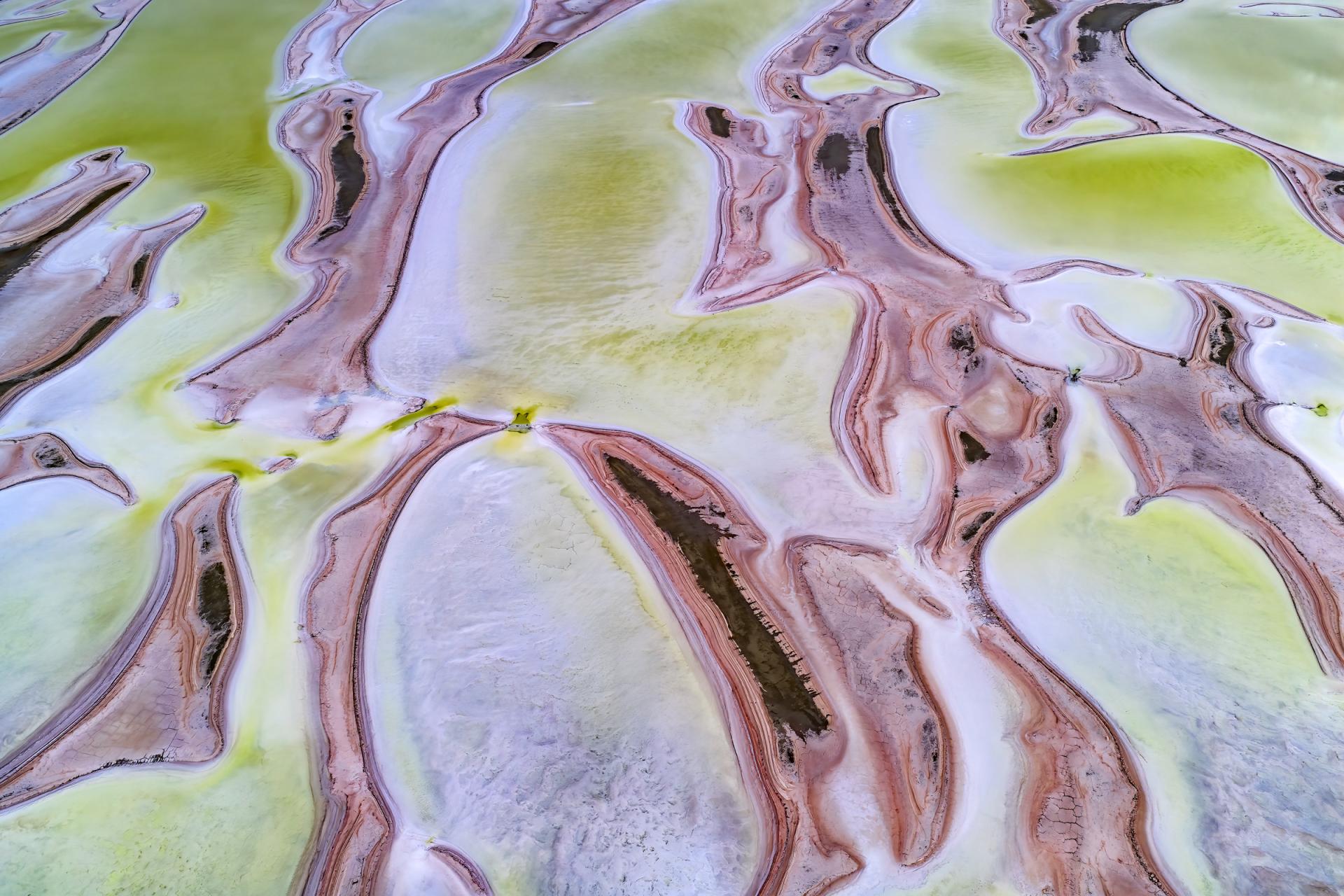 New York Photography Awards Winner - Zest