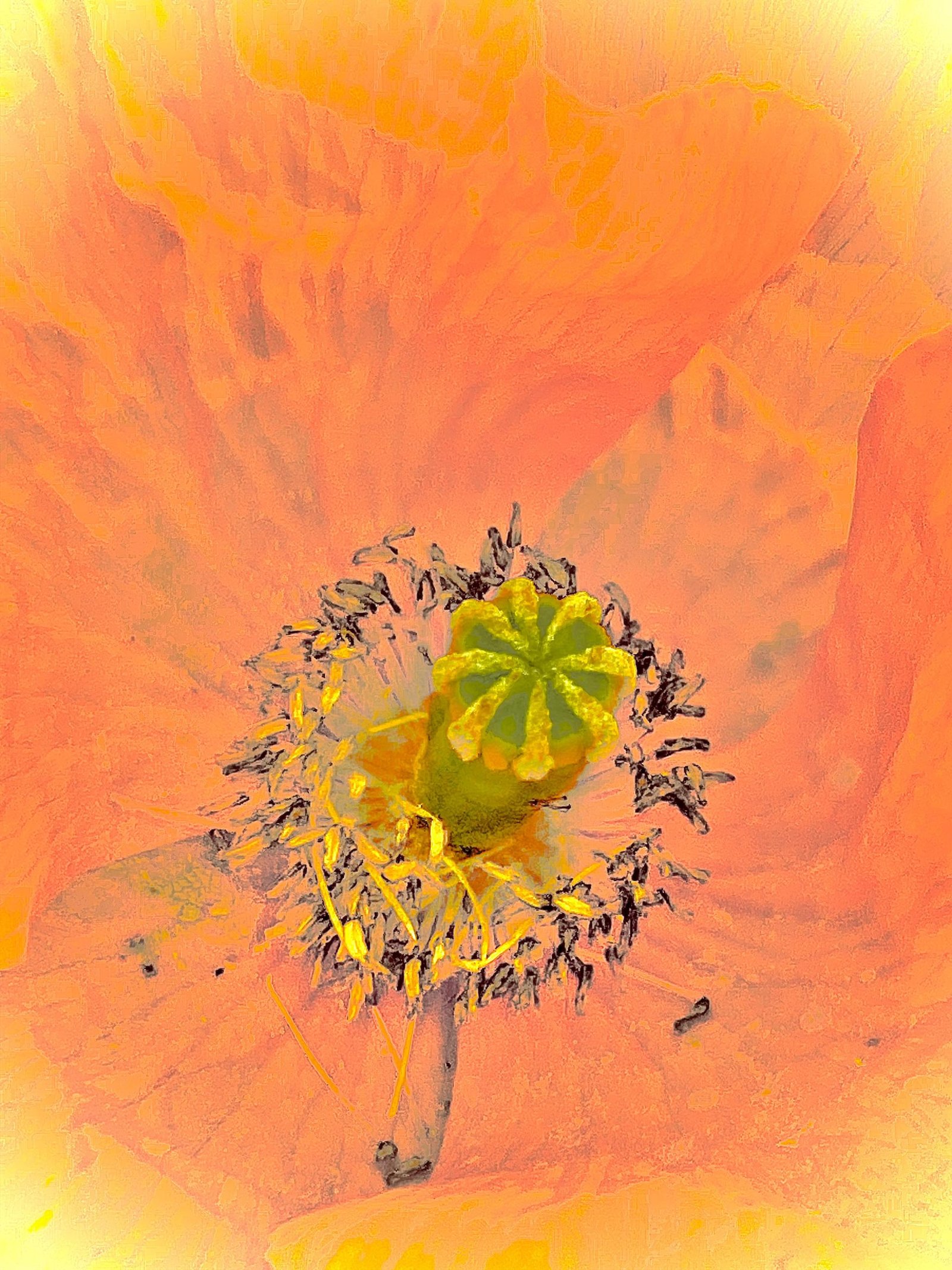 New York Photography Awards Winner - The mother is nature 